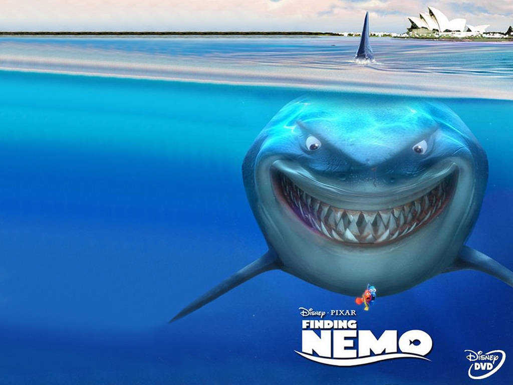 Shark From Nemo Wallpapers