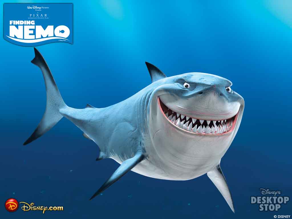 Shark From Nemo Wallpapers