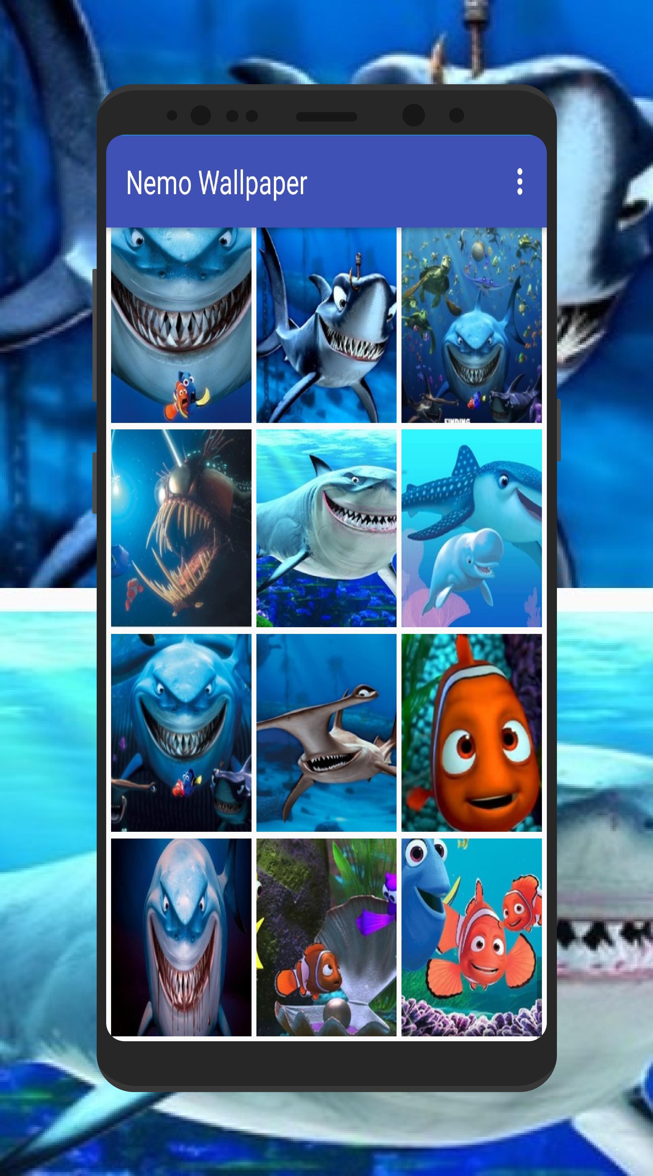 Shark From Nemo Wallpapers