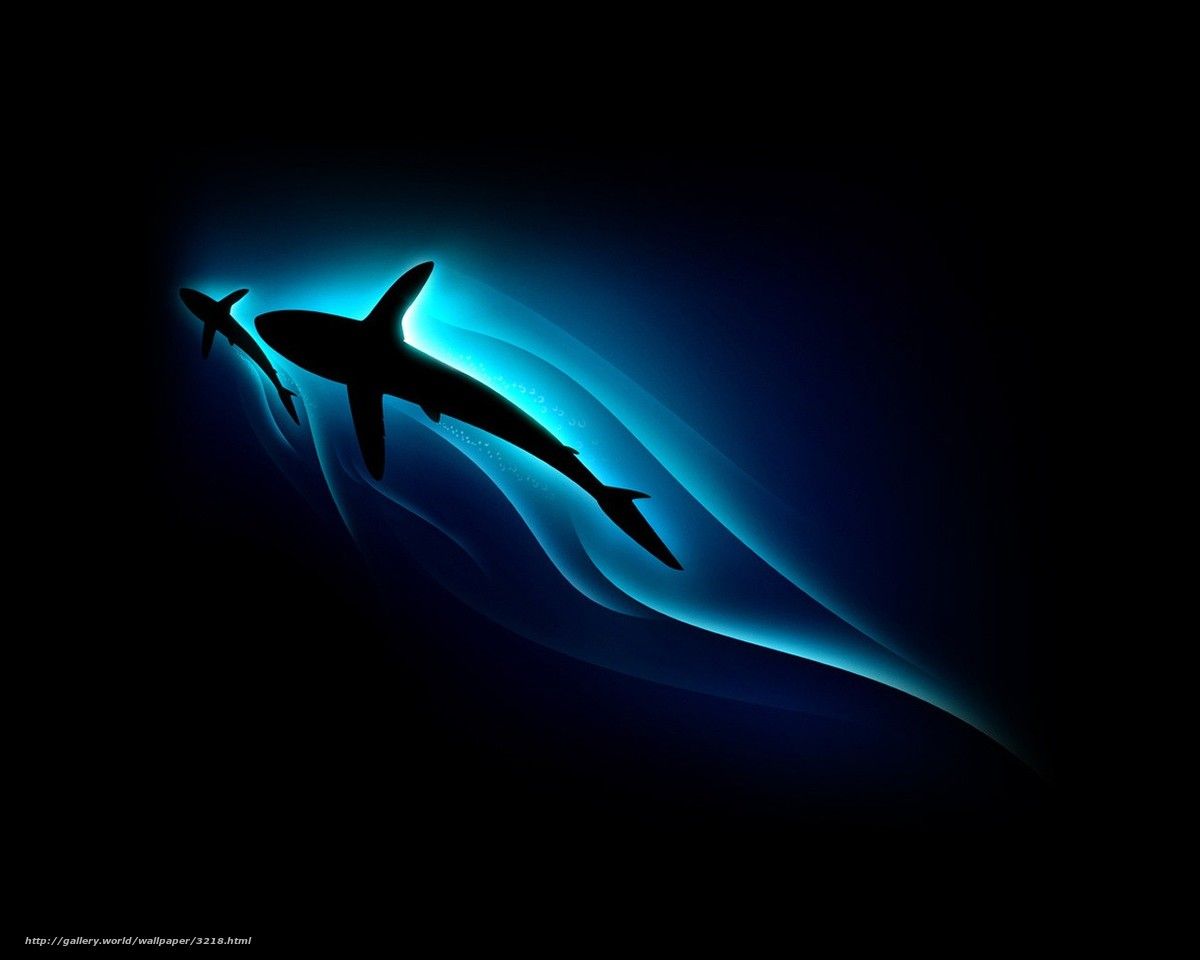 Shark Minimalism Art Wallpapers