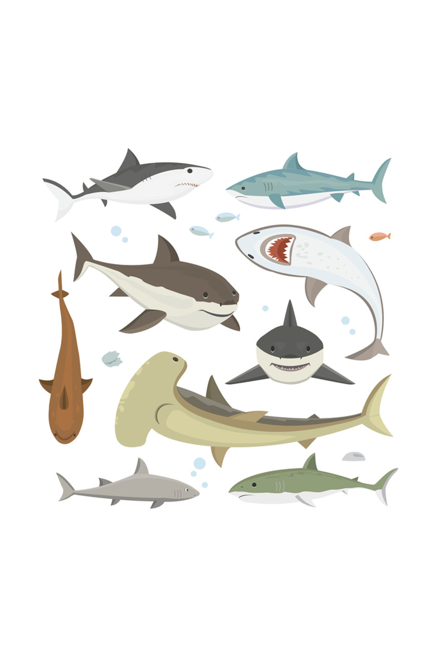 Shark Minimalism Art Wallpapers