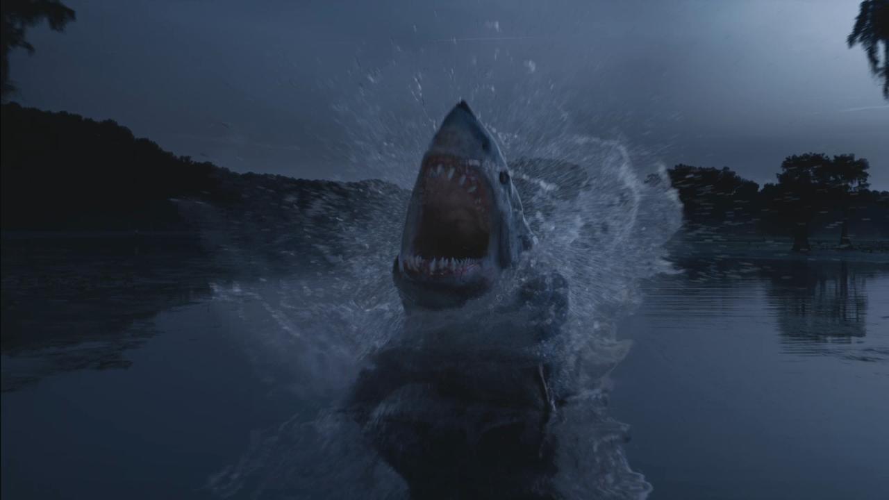 Shark Night Wallpapers