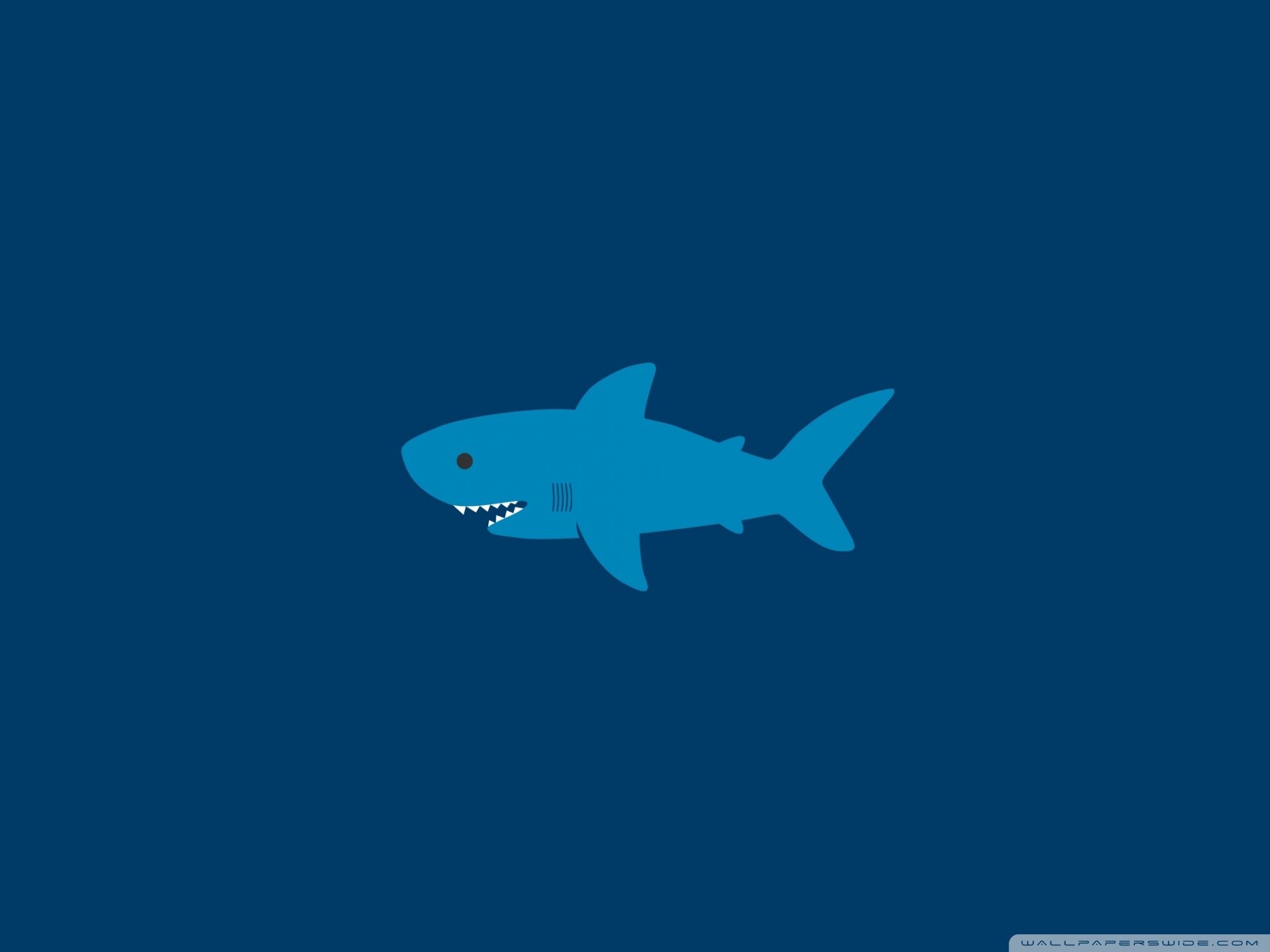 Shark Phone Wallpapers