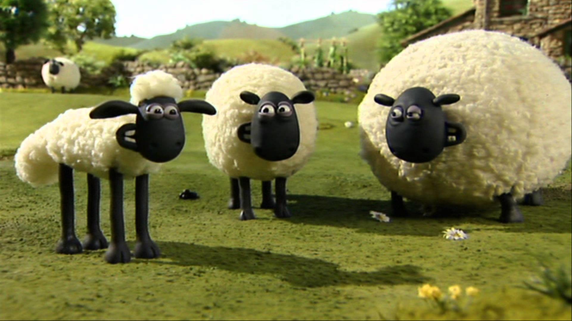 Shaun The Sheep Pic Wallpapers