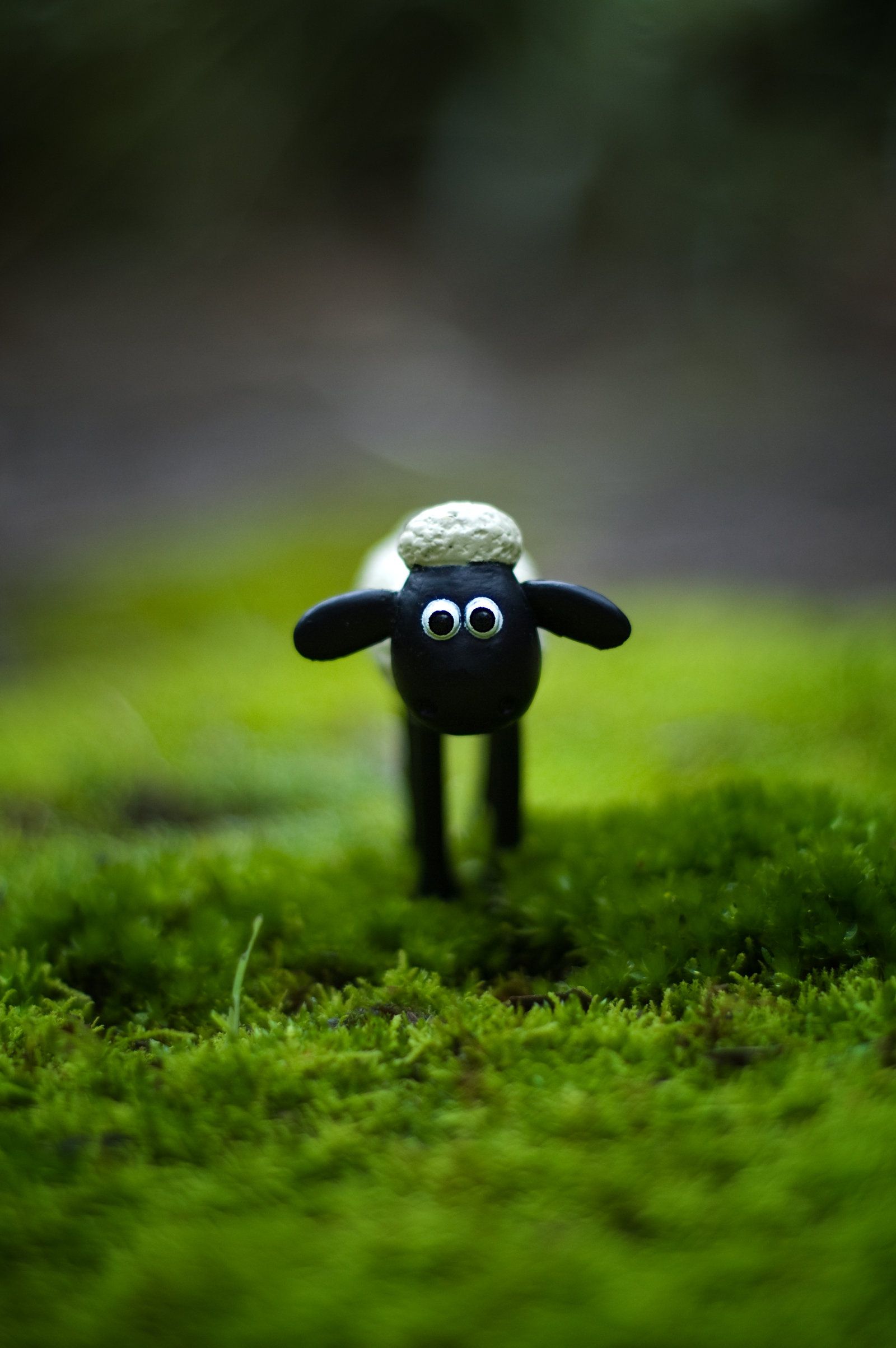 Shaun The Sheep Wallpapers