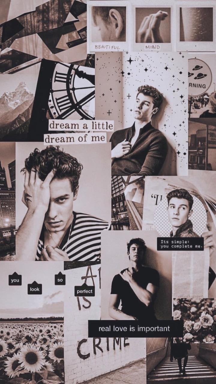 Shawn Mendes Aesthetic Wallpapers