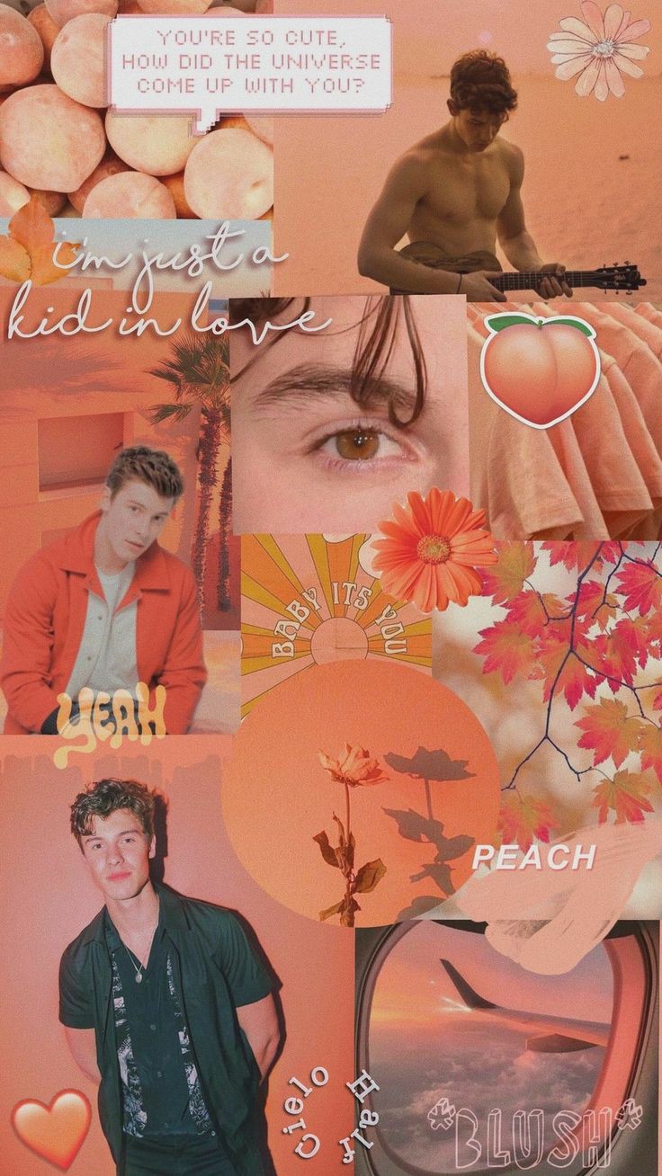 Shawn Mendes Aesthetic Wallpapers