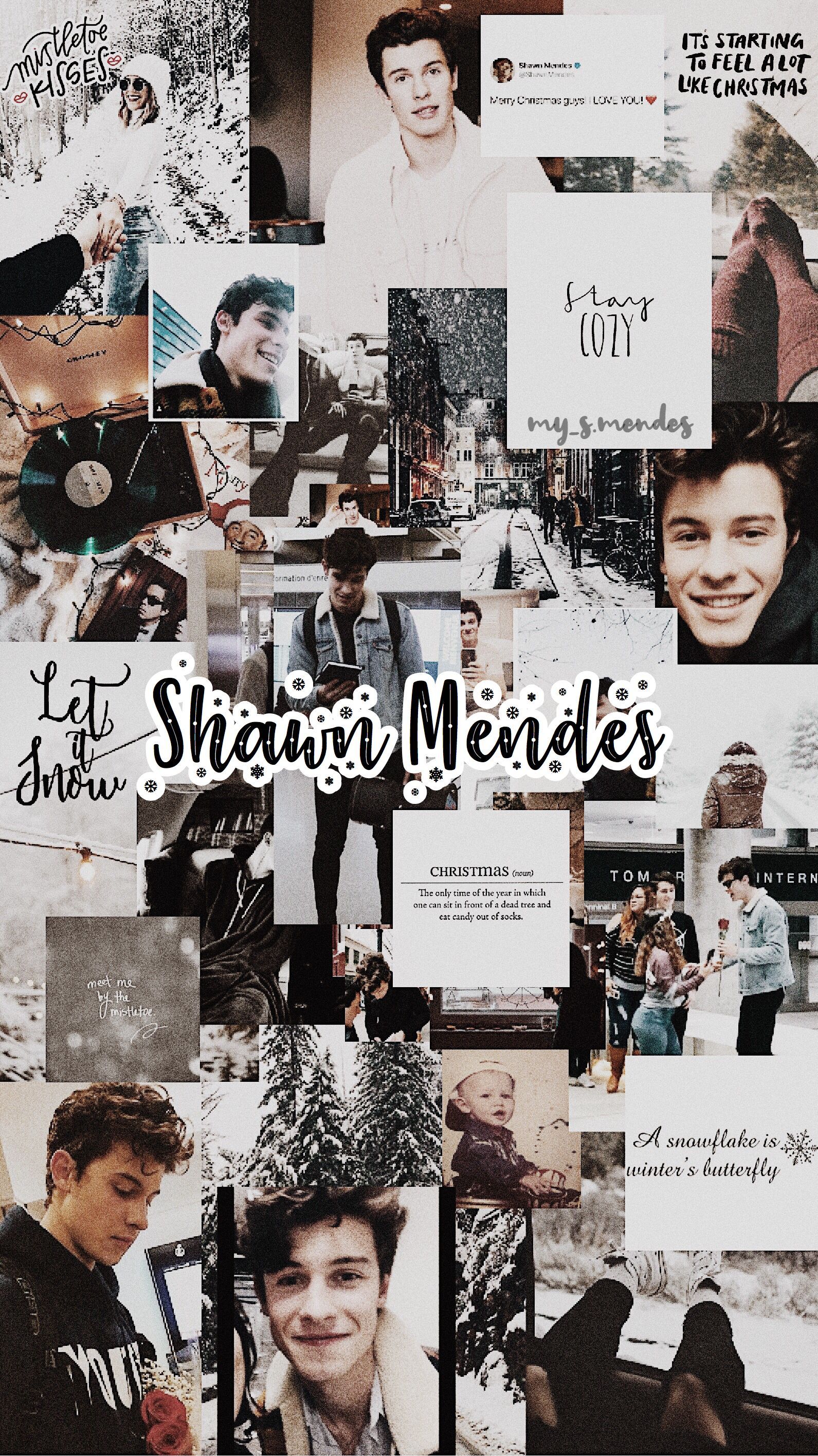 Shawn Mendes Aesthetic Wallpapers