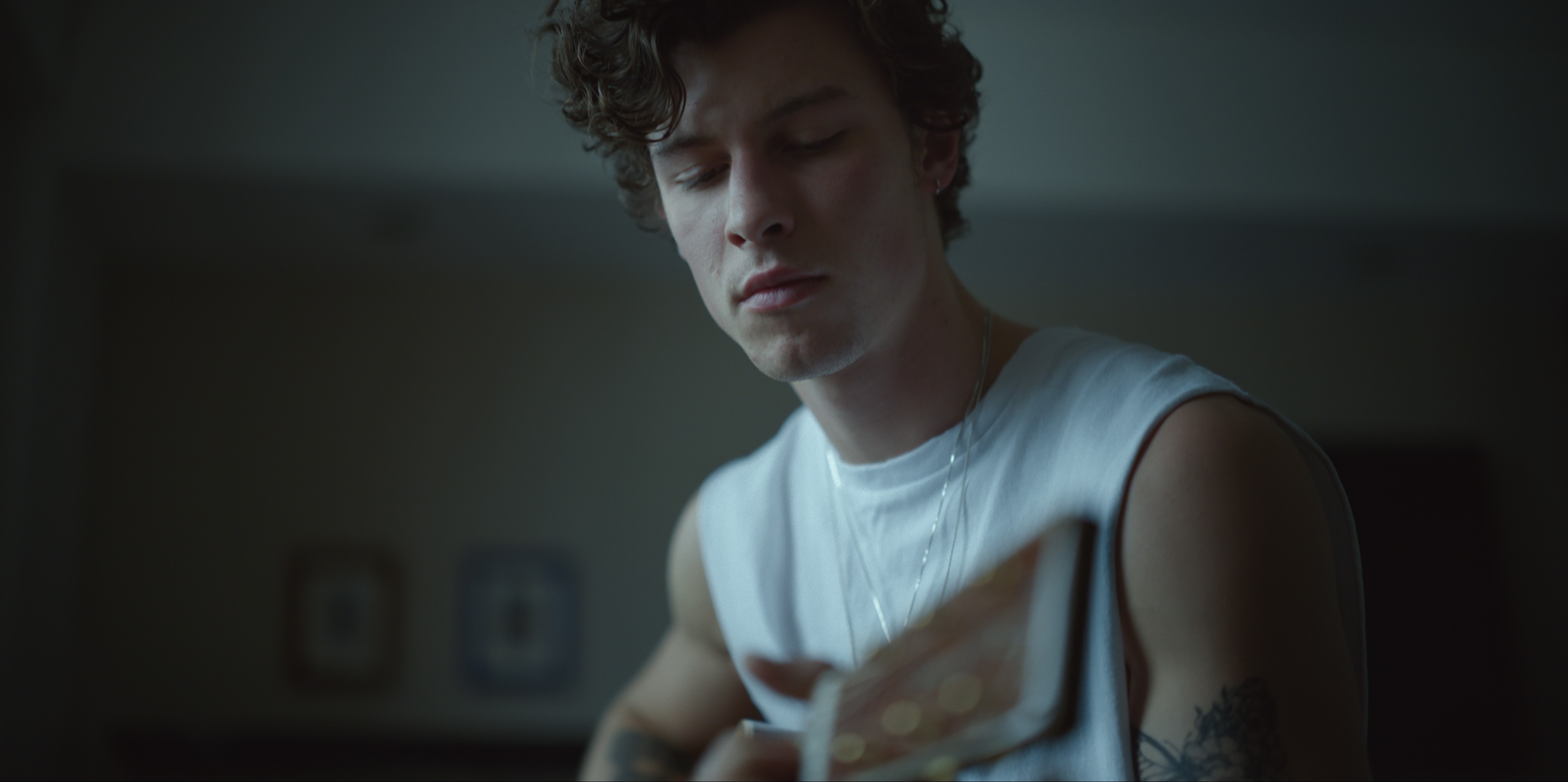 Shawn Mendes Netflix 2020 Wallpapers