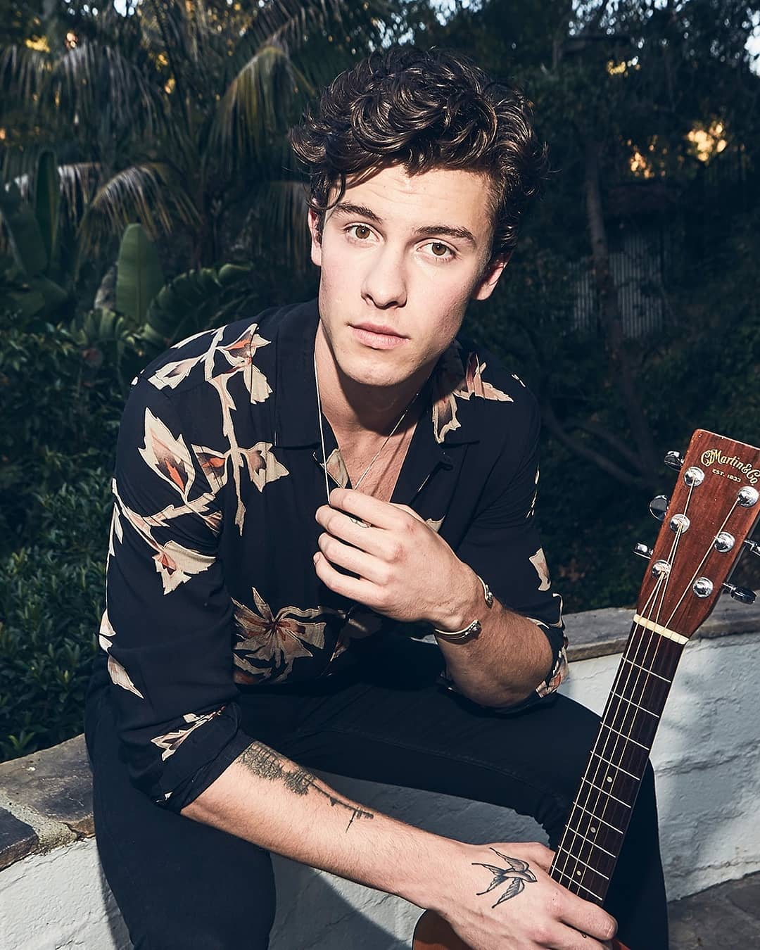 Shawn Mendes Wallpapers