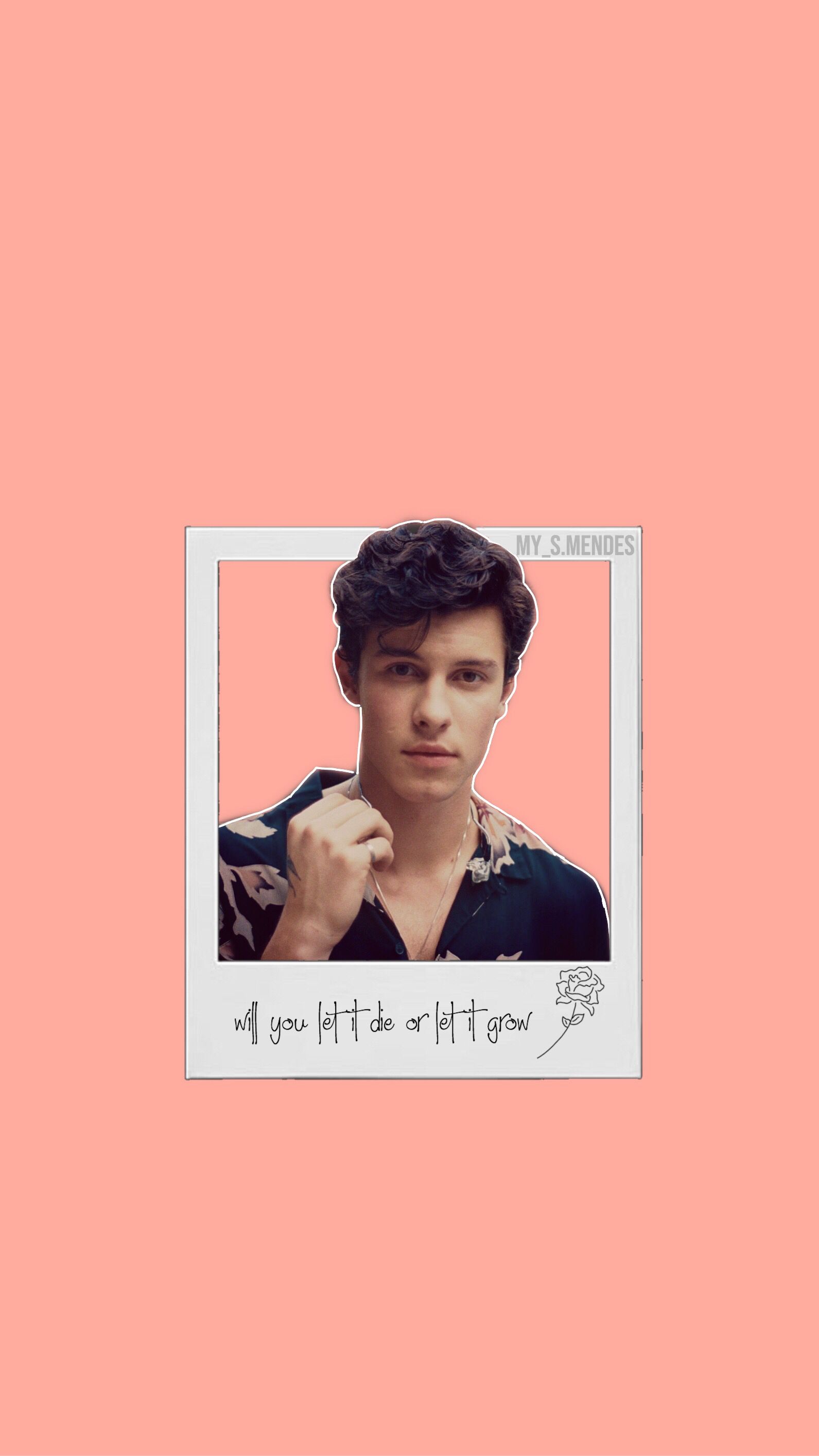 Shawn Mendes Wallpapers