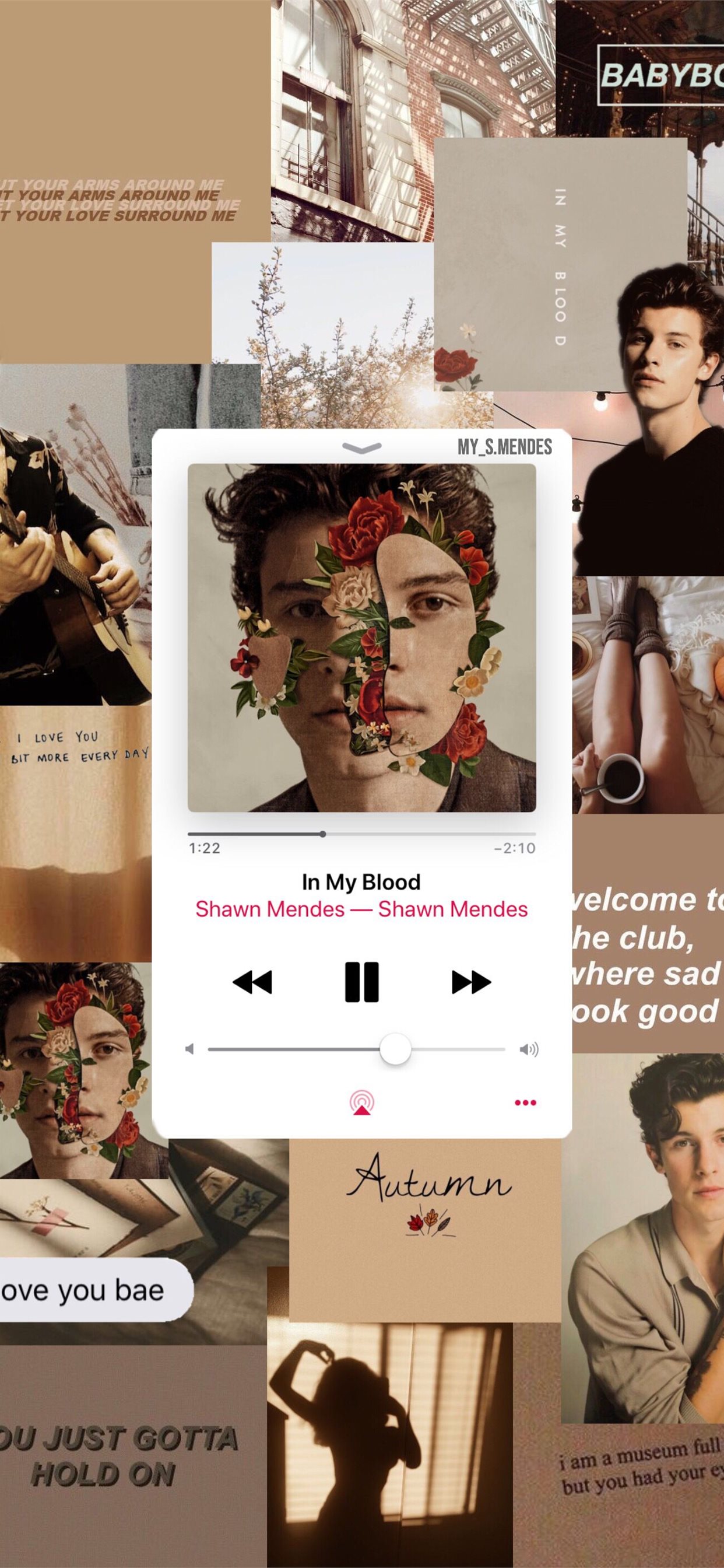 Shawn Mendes Wallpapers