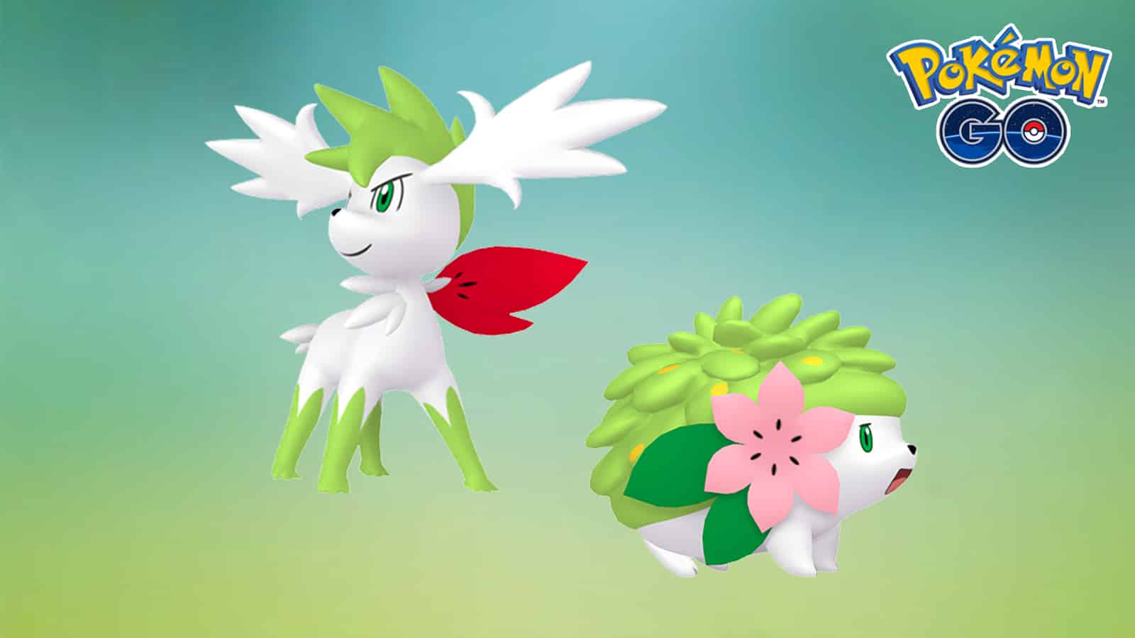 Shaymin Hd Wallpapers