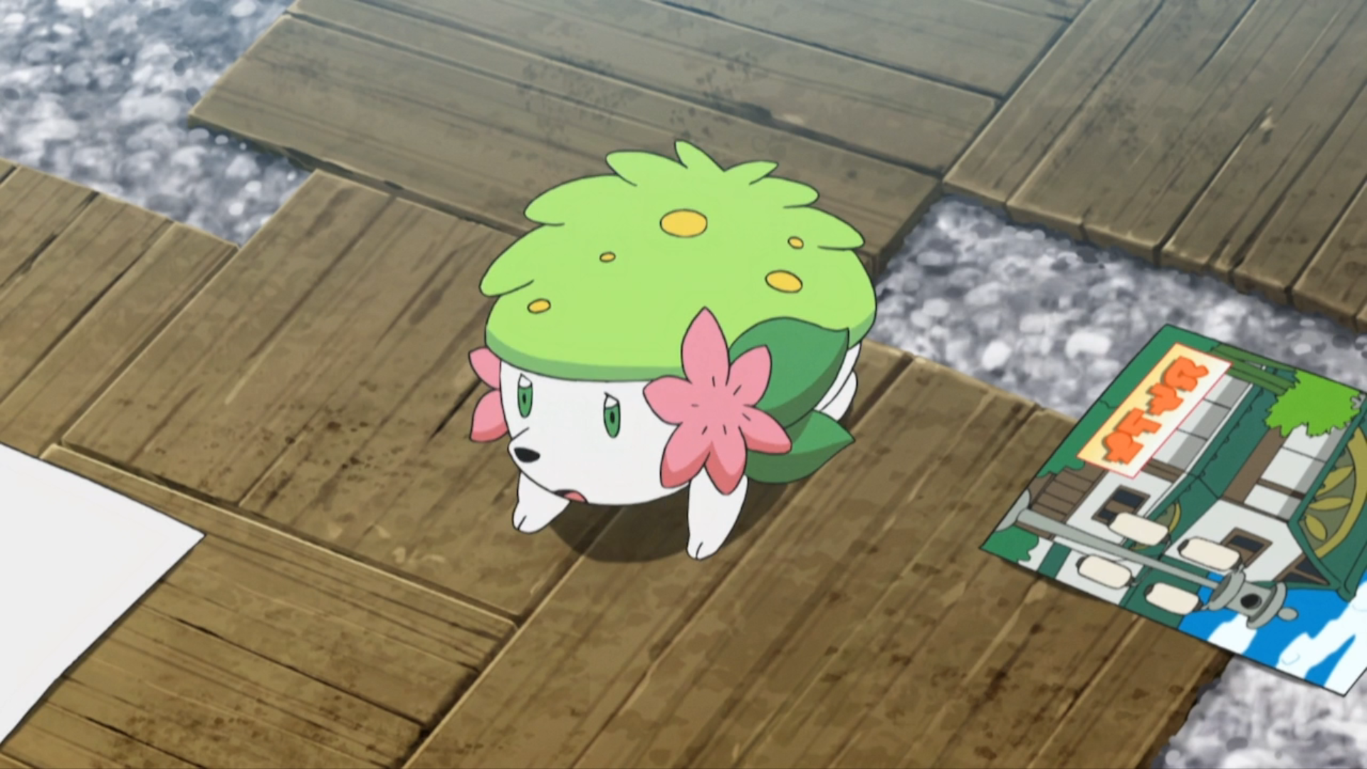 Shaymin Hd Wallpapers