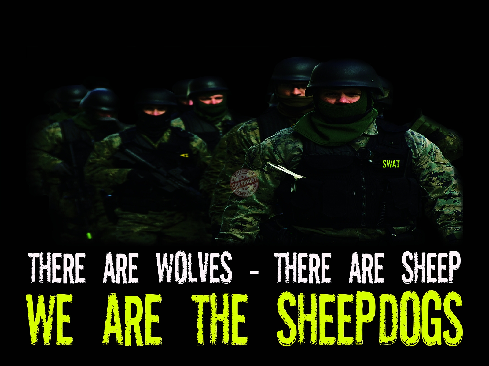 Sheepdog Wallpapers