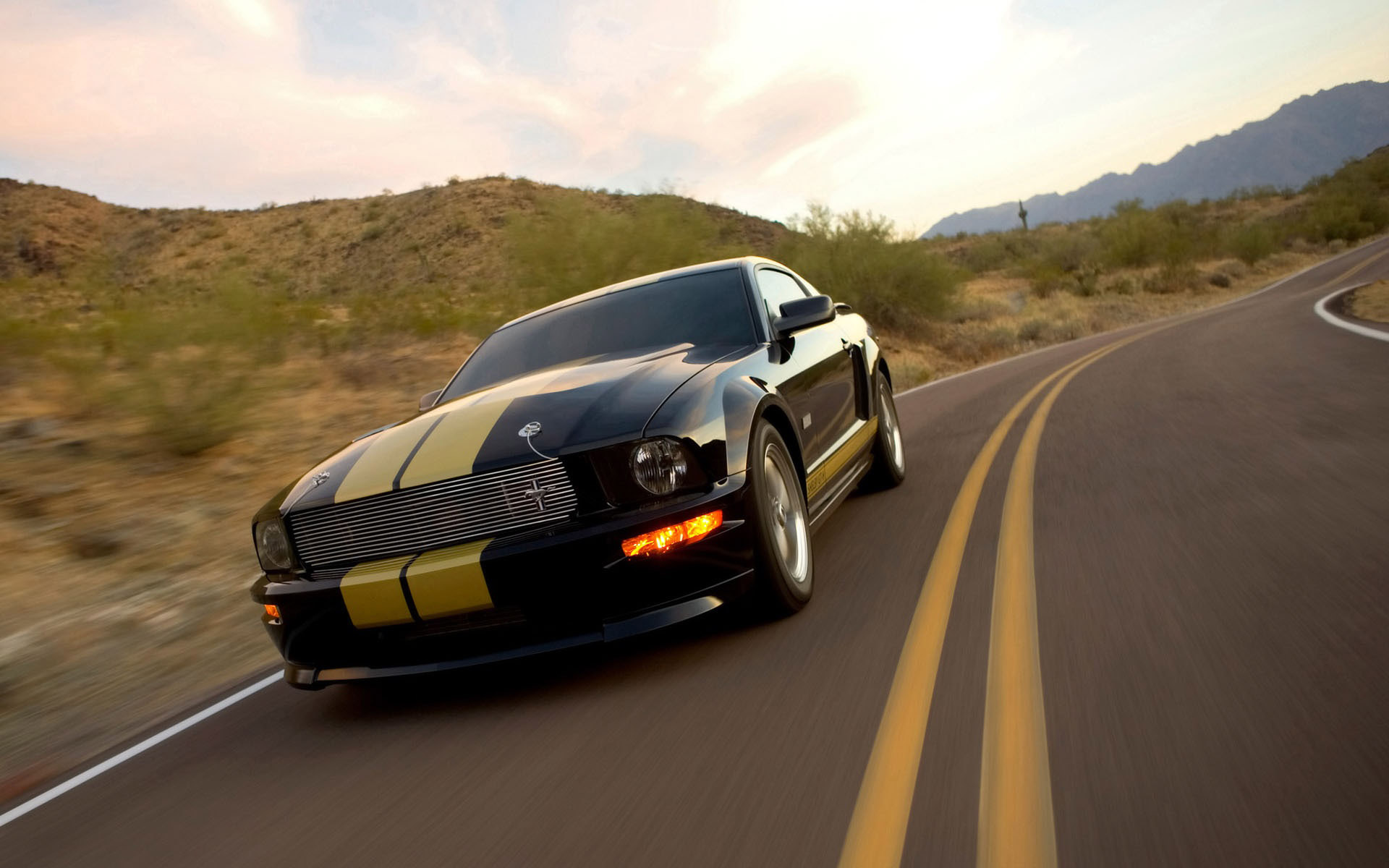 Shelby Gt350 Hertz Wallpapers