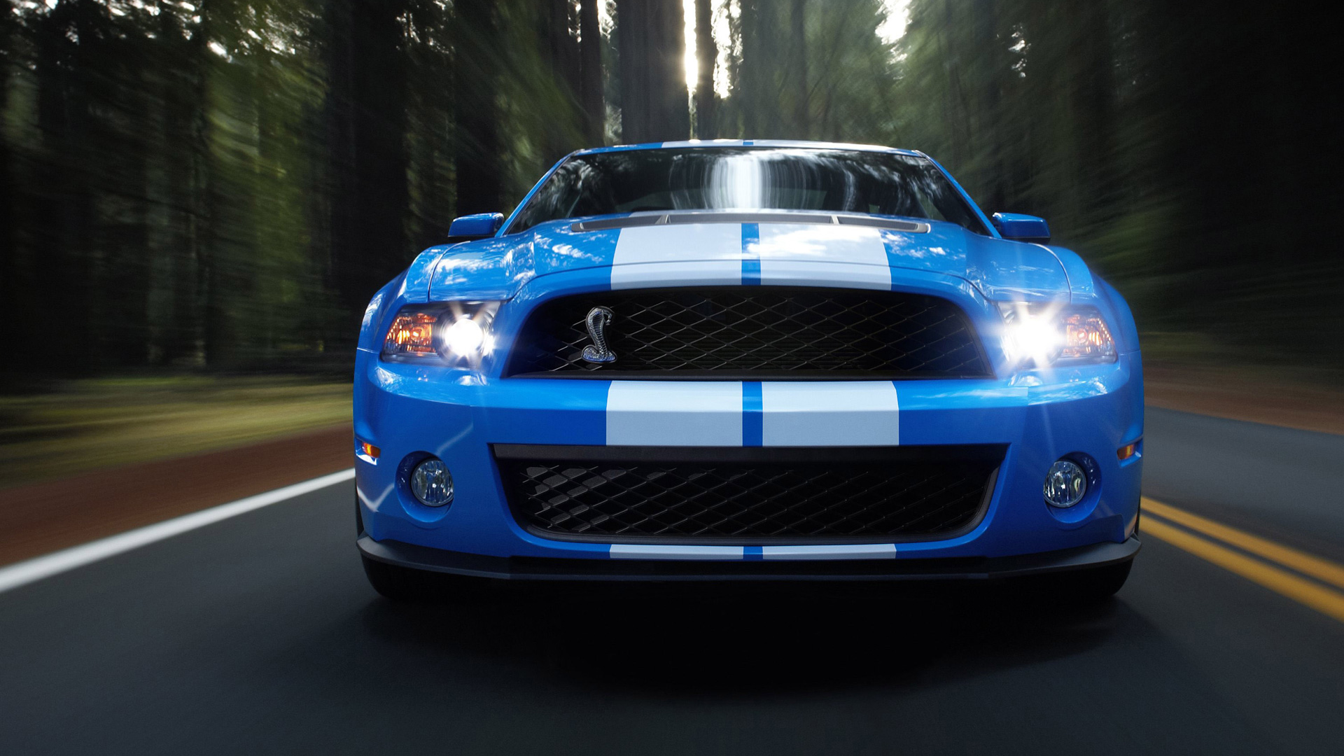 Shelby Gt500 Wallpapers