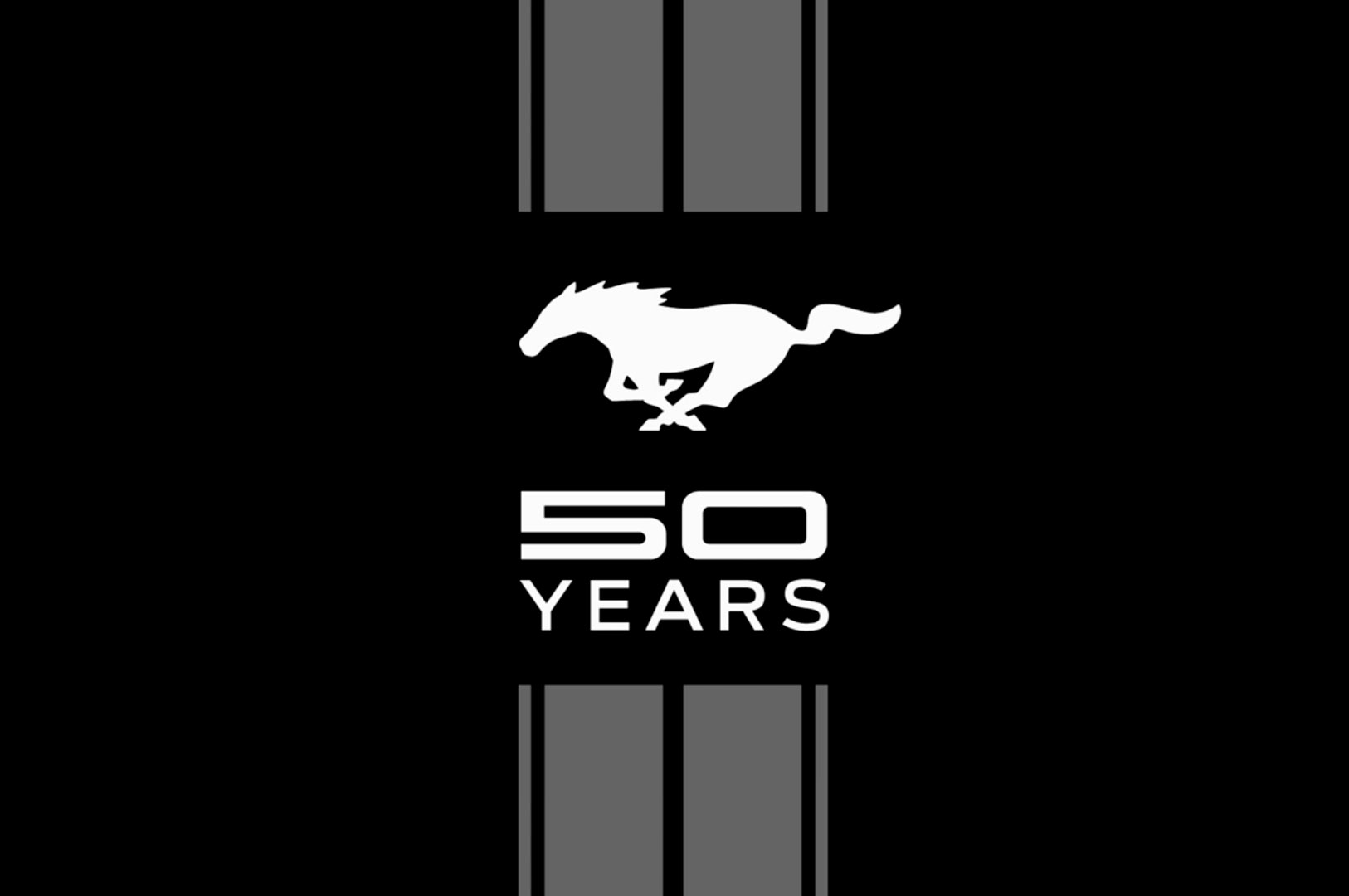 Shelby Logo Wallpapers