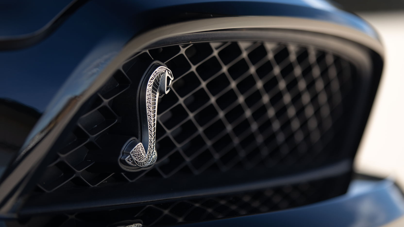 Shelby Logo Wallpapers