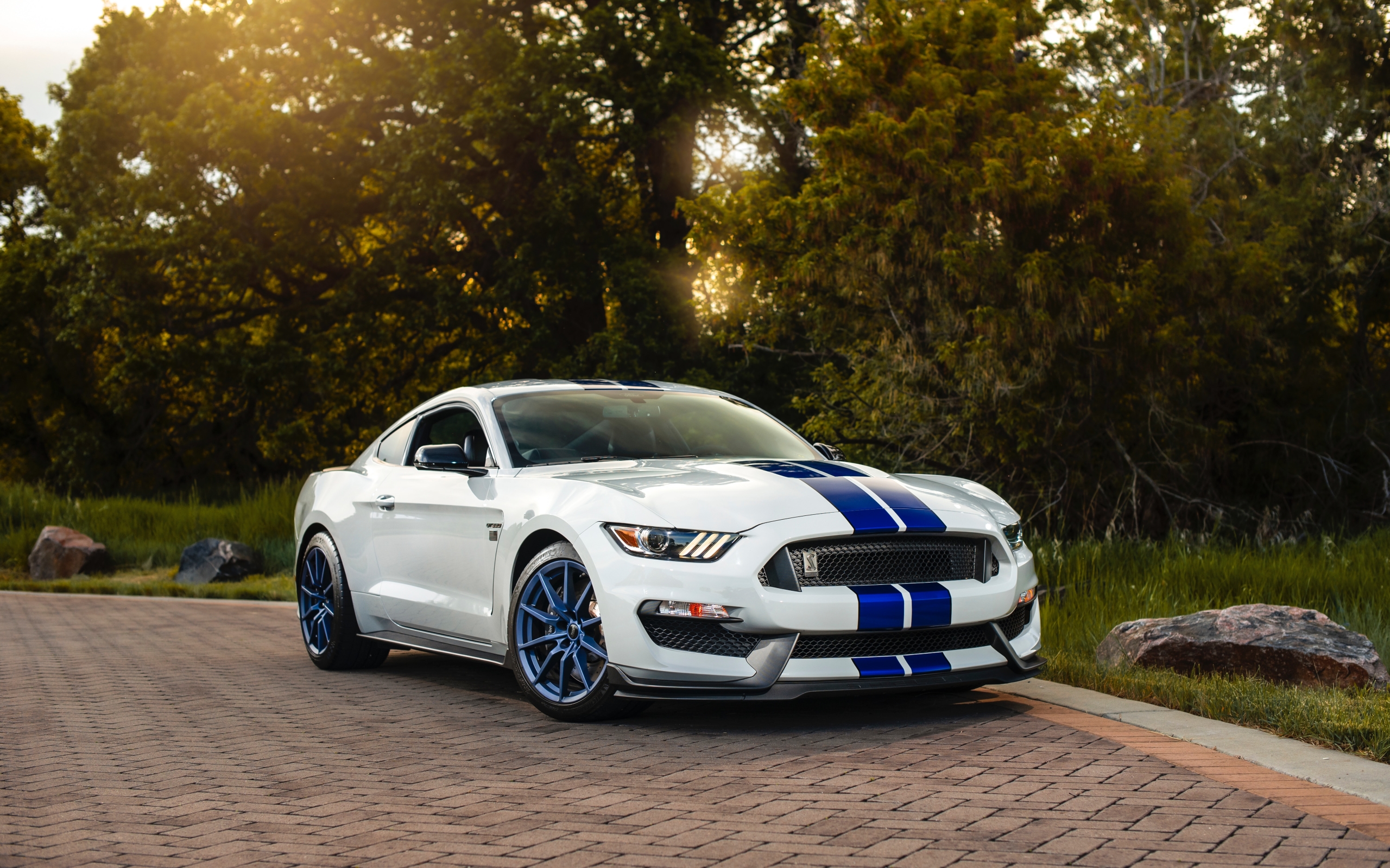 Shelby Mustang Gt 350 Wallpapers