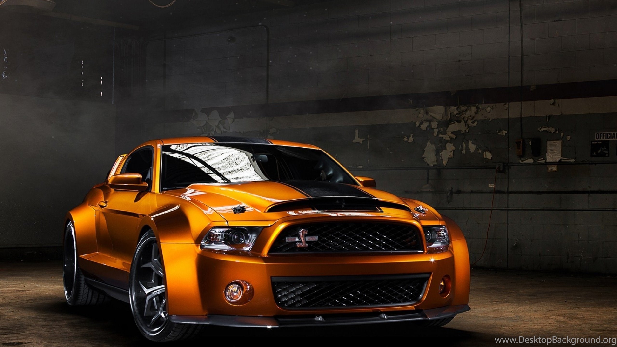 Shelby Super Snake Wallpapers