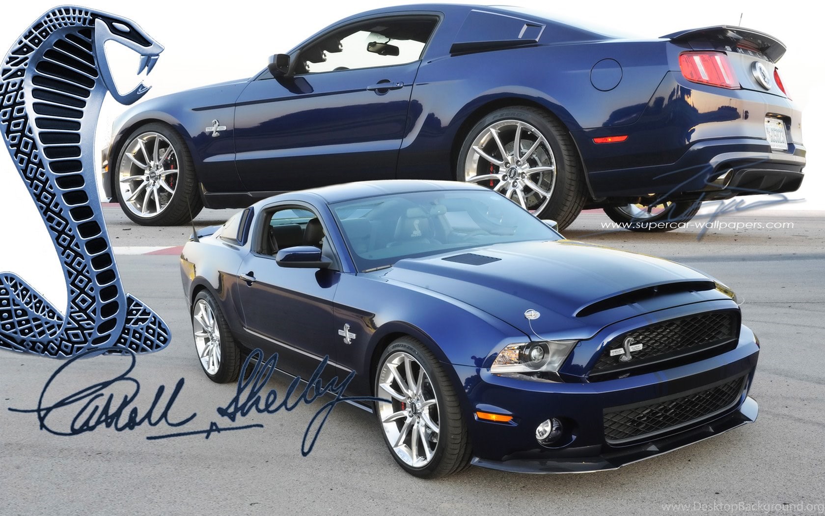 Shelby Super Snake Wallpapers