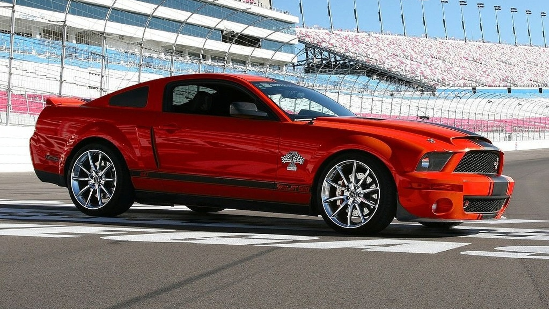 Shelby Super Snake Wallpapers