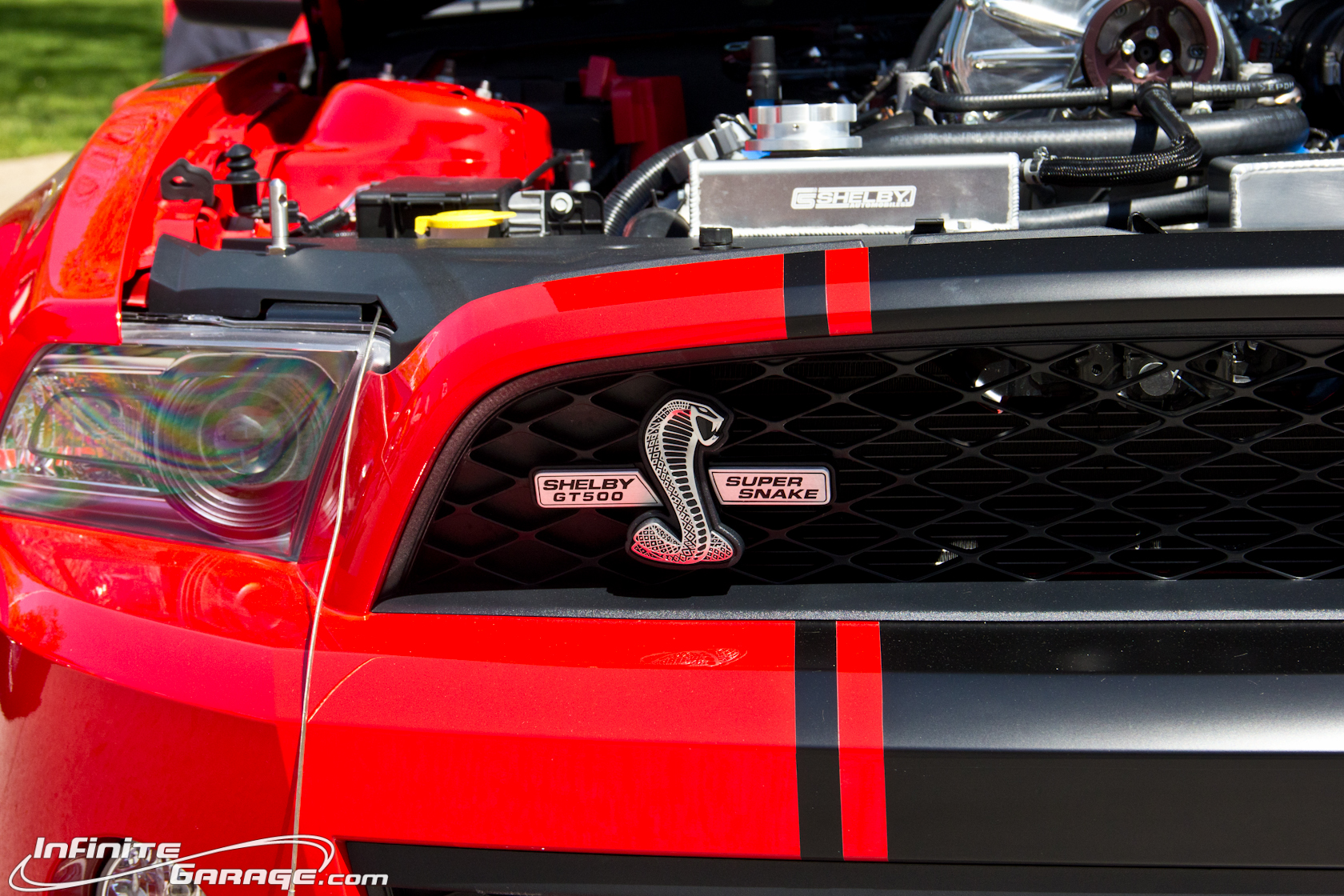 Shelby Super Snake Wallpapers