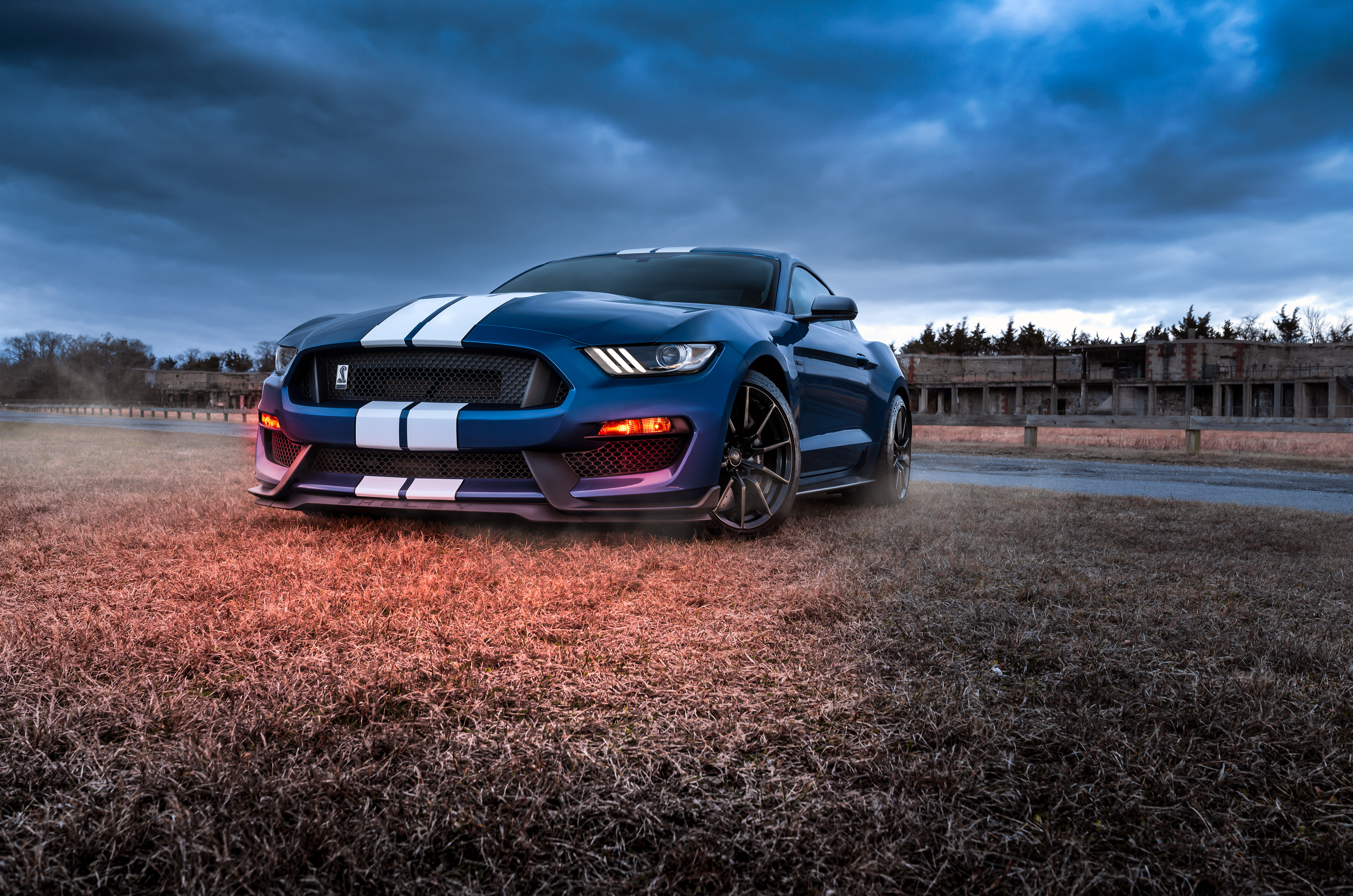 Shelby Wallpapers