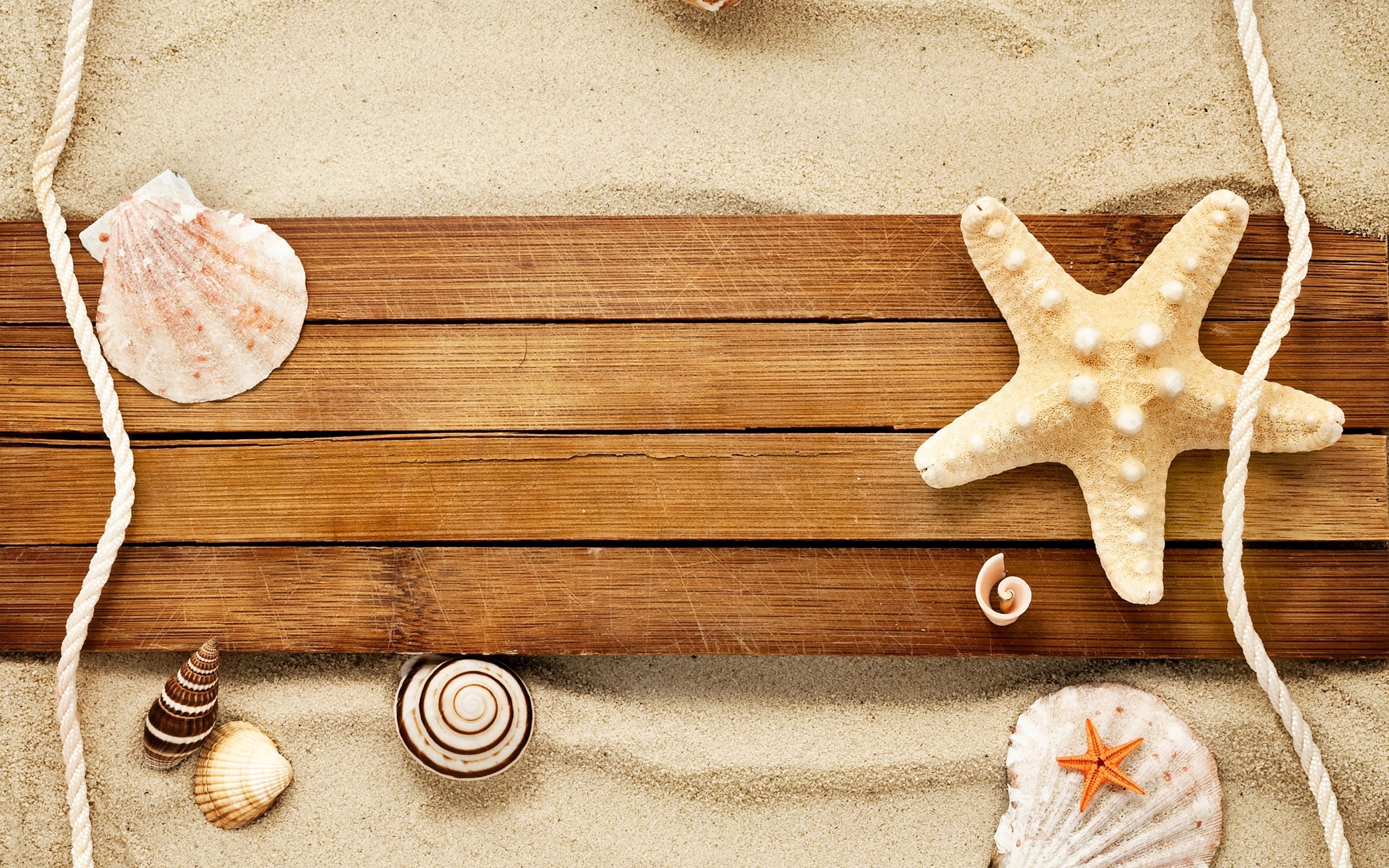 Shell And Starfish In Sand Wallpapers