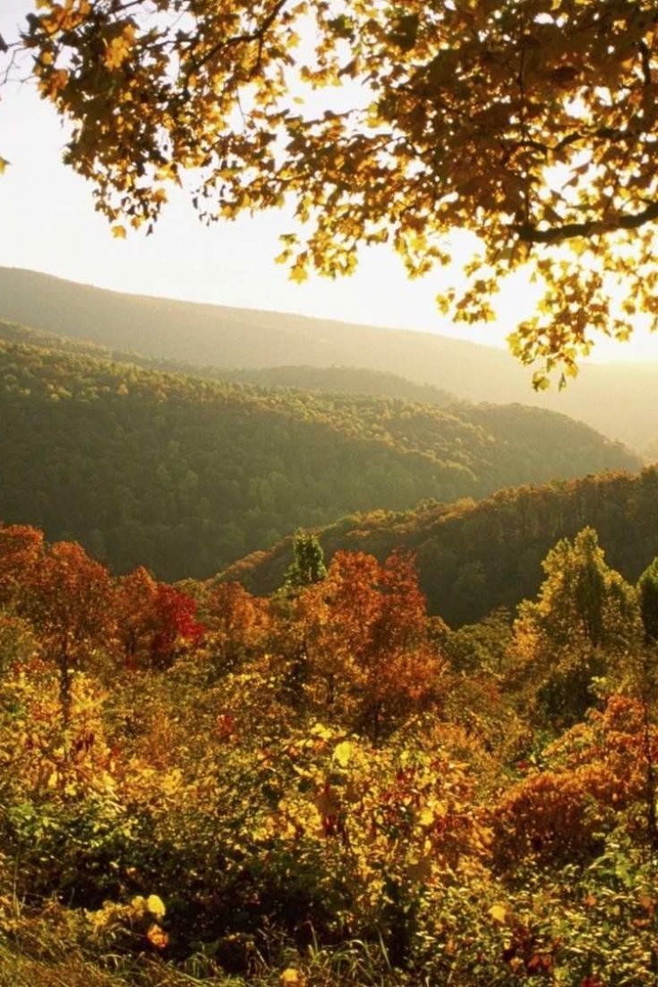 Shenandoah National Park Wallpapers