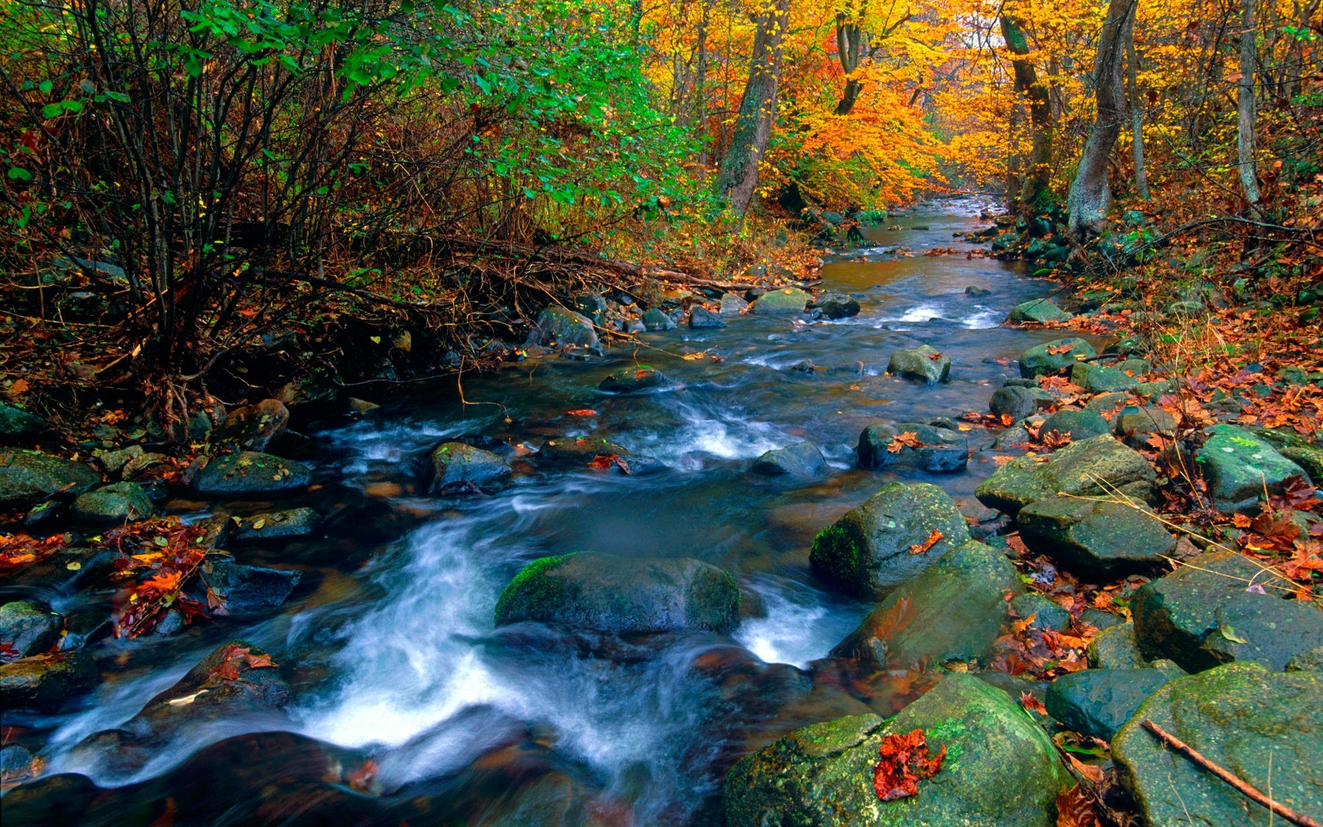 Shenandoah National Park Wallpapers