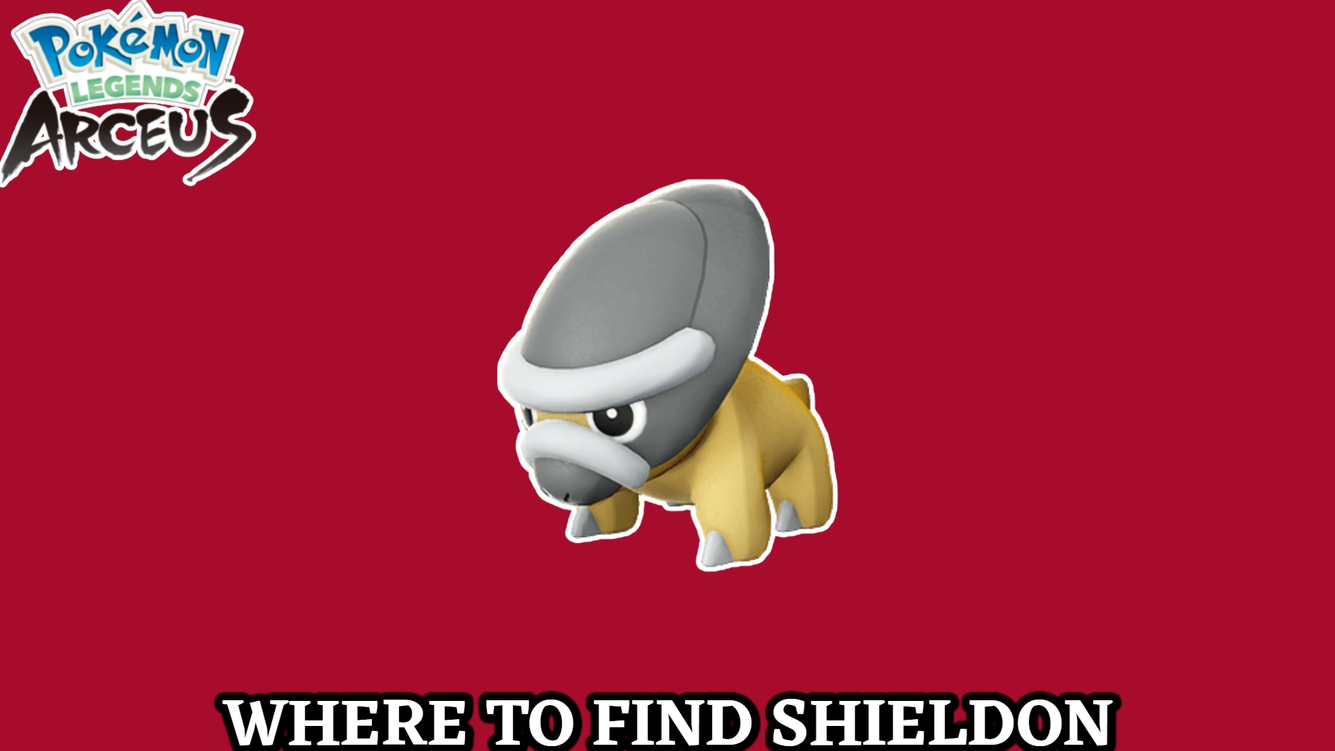 Shieldon Hd Wallpapers