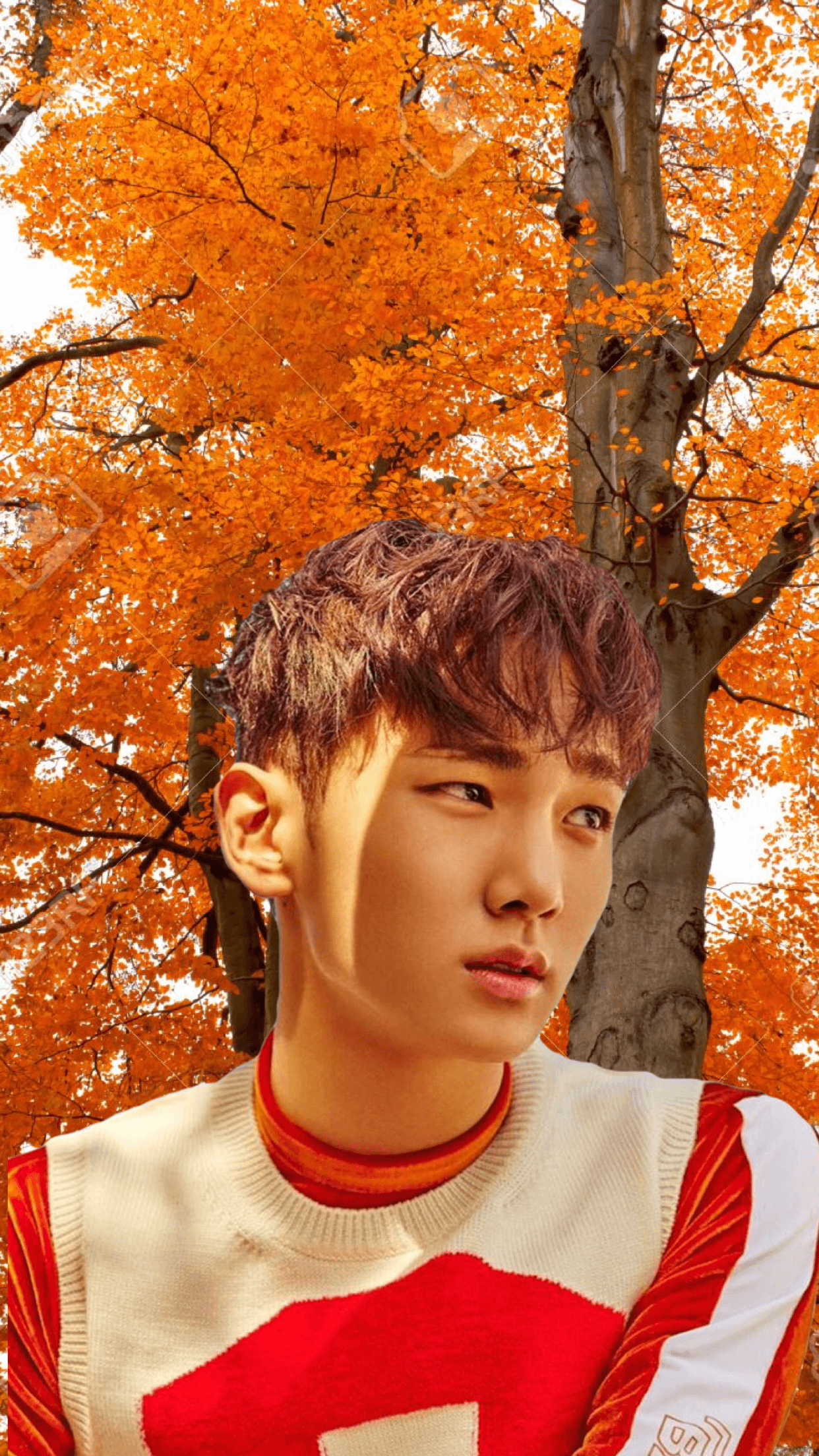 Shinee Key Cute Wallpapers