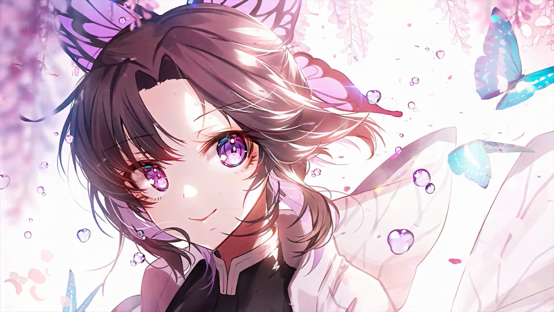 Shinobu Kimetsu No Yaiba Wallpapers