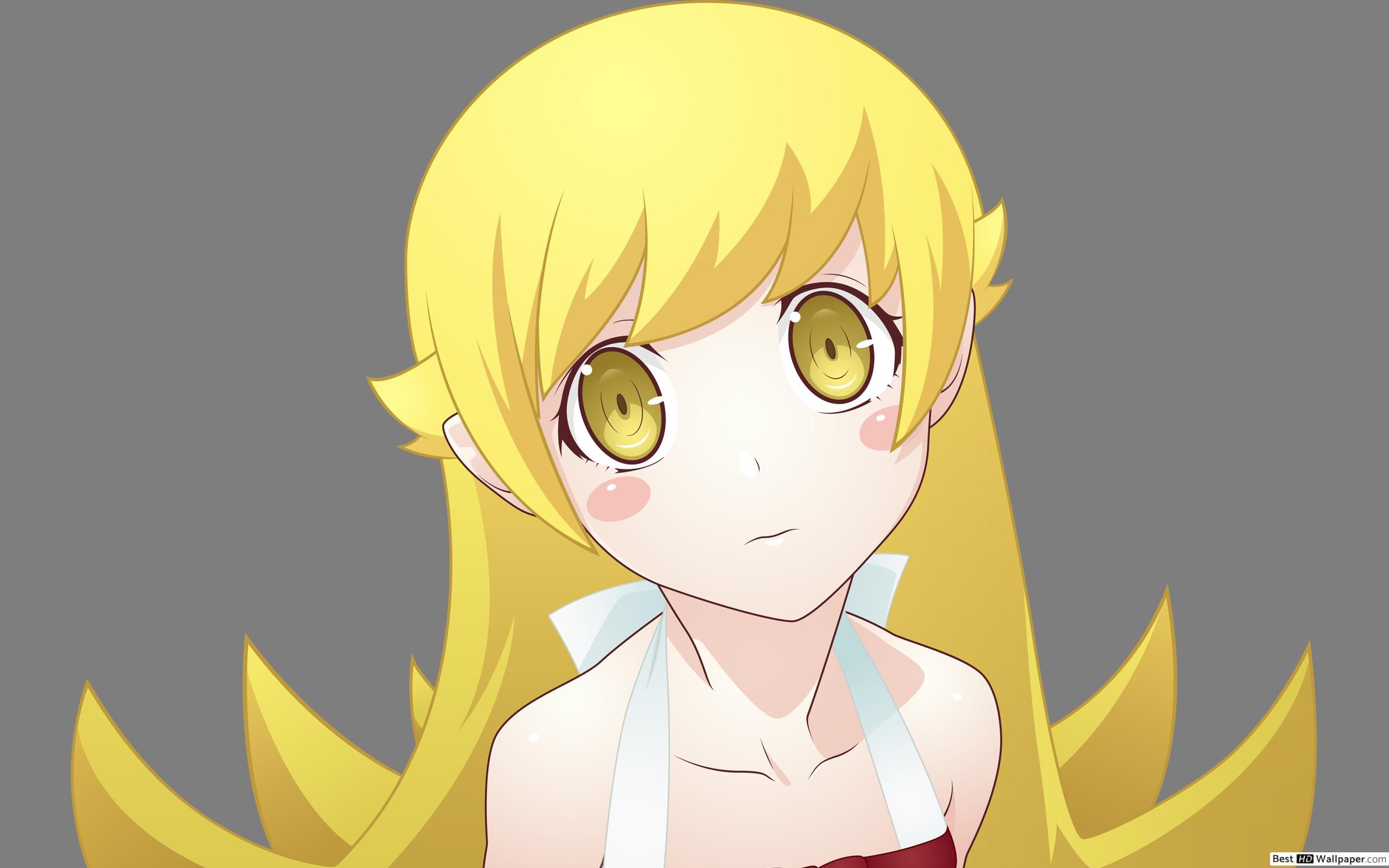 Shinobu Oshino Monogatari Wallpapers