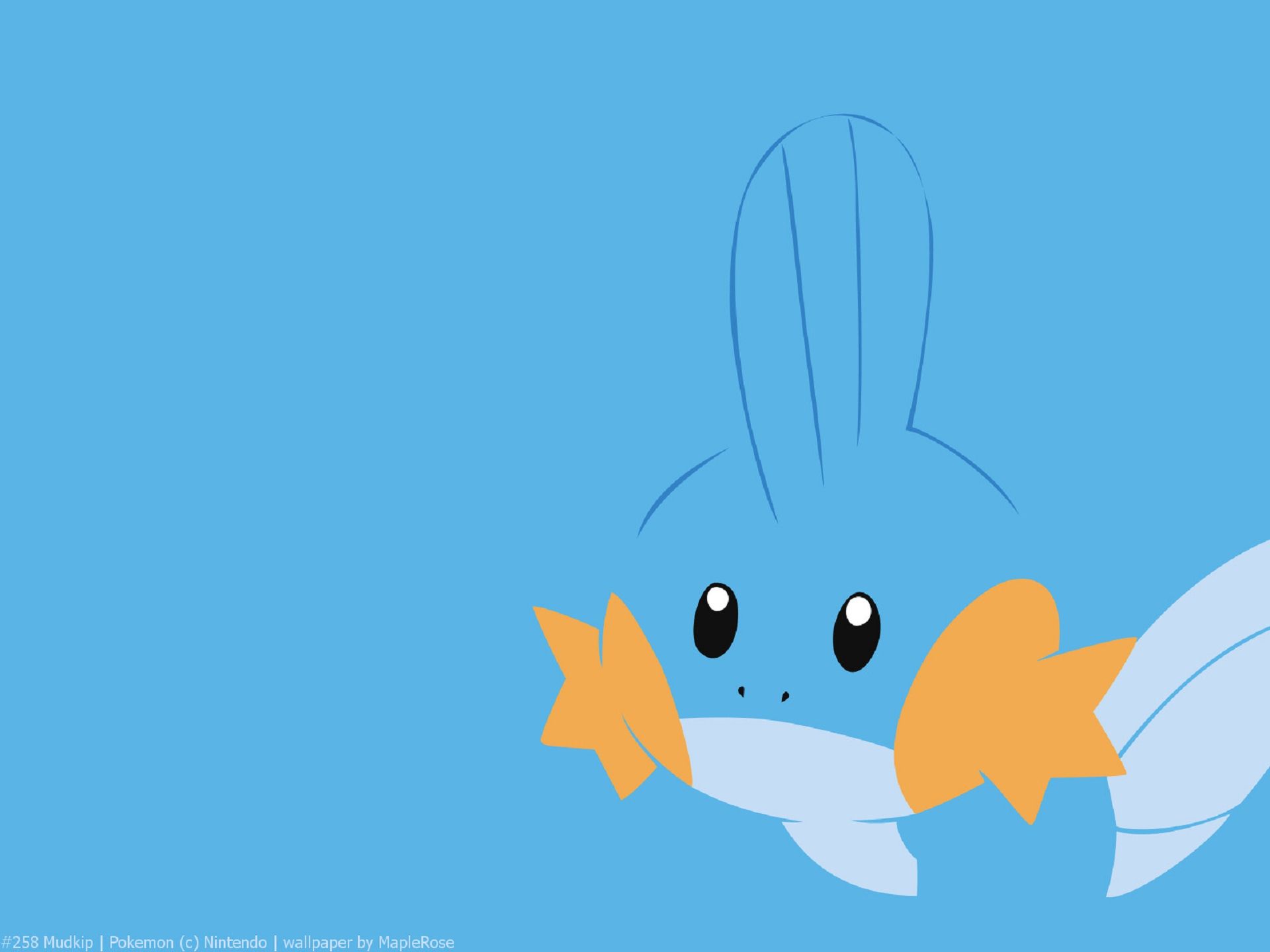 Shiny Mudkip Wallpapers