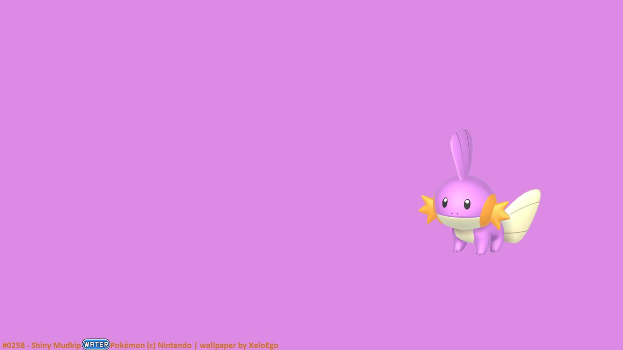 Shiny Mudkip Wallpapers