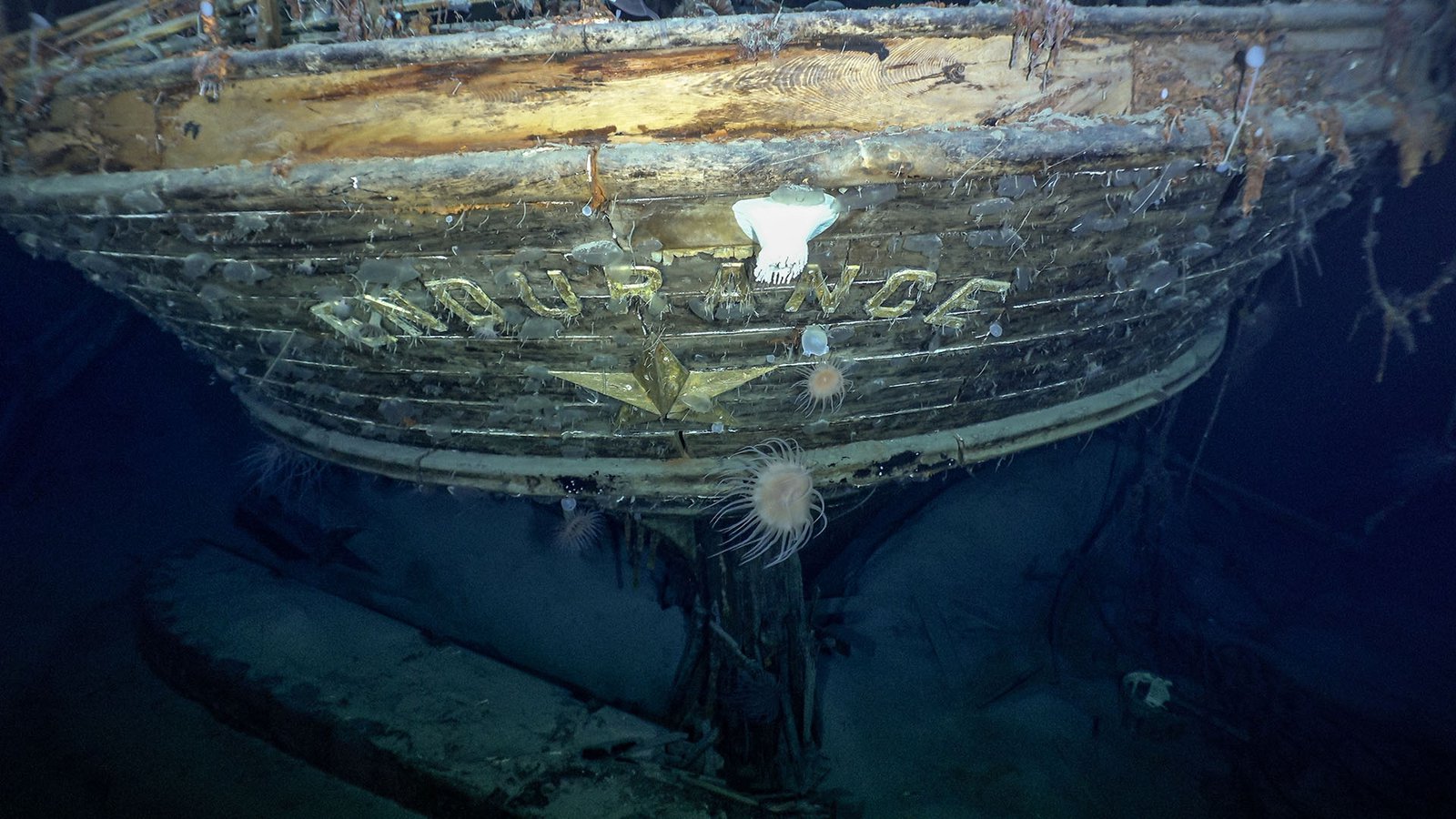 Ship And Town Underwater
 Wallpapers