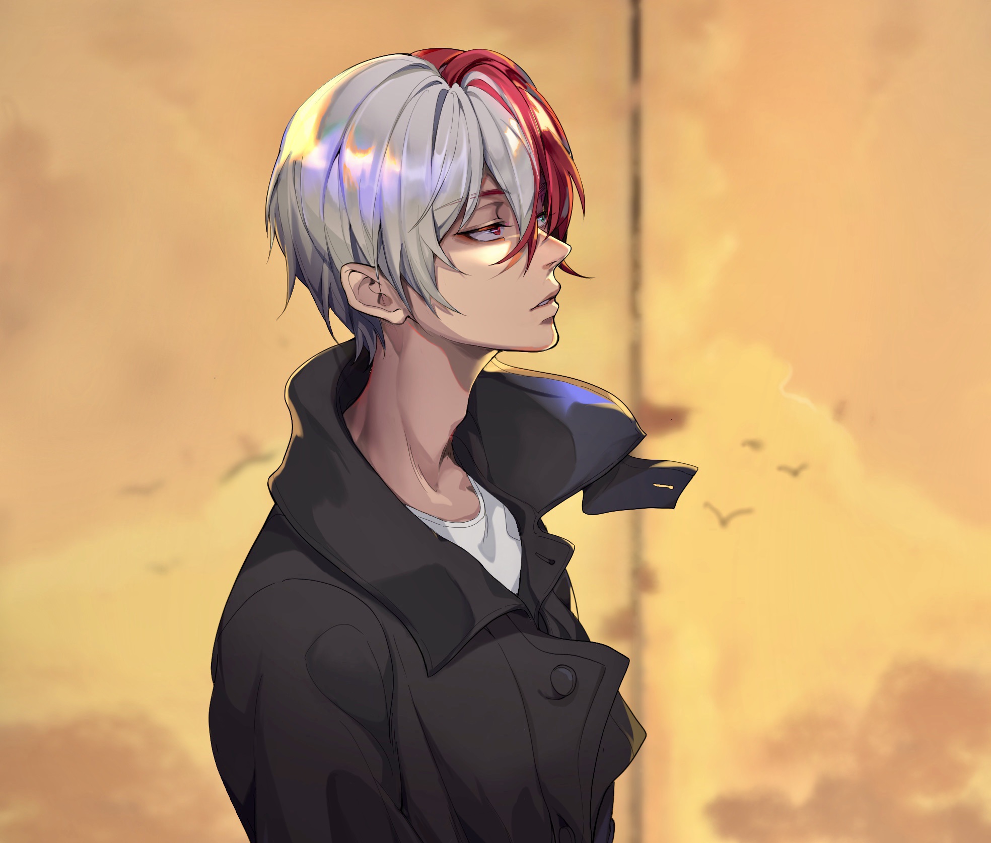 Shoto Todoroki Anime Wallpapers