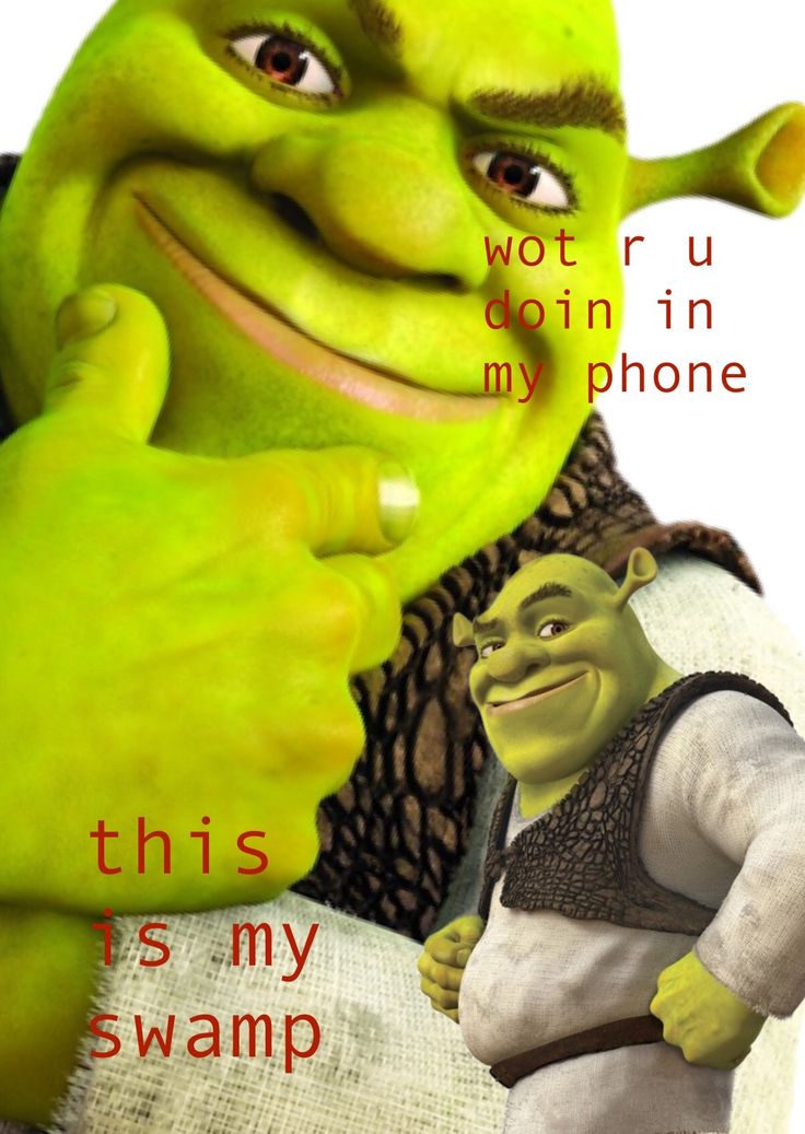 Shrek Funny Pictures Wallpapers