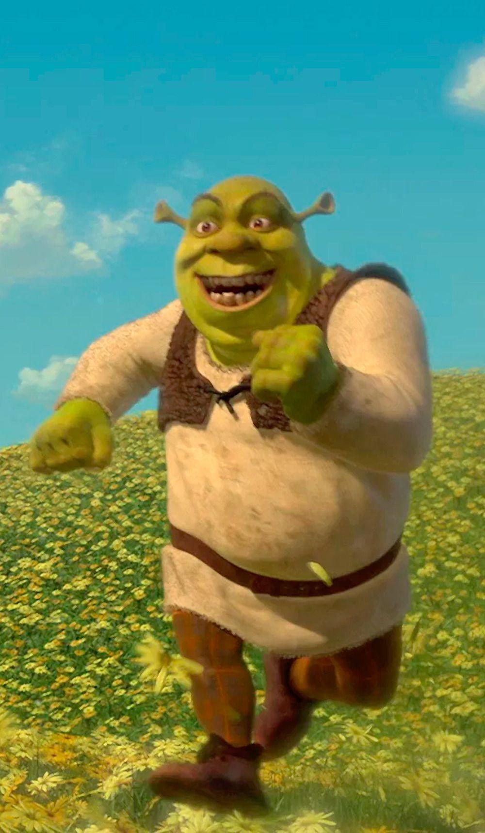 Shrek Funny Pictures Wallpapers