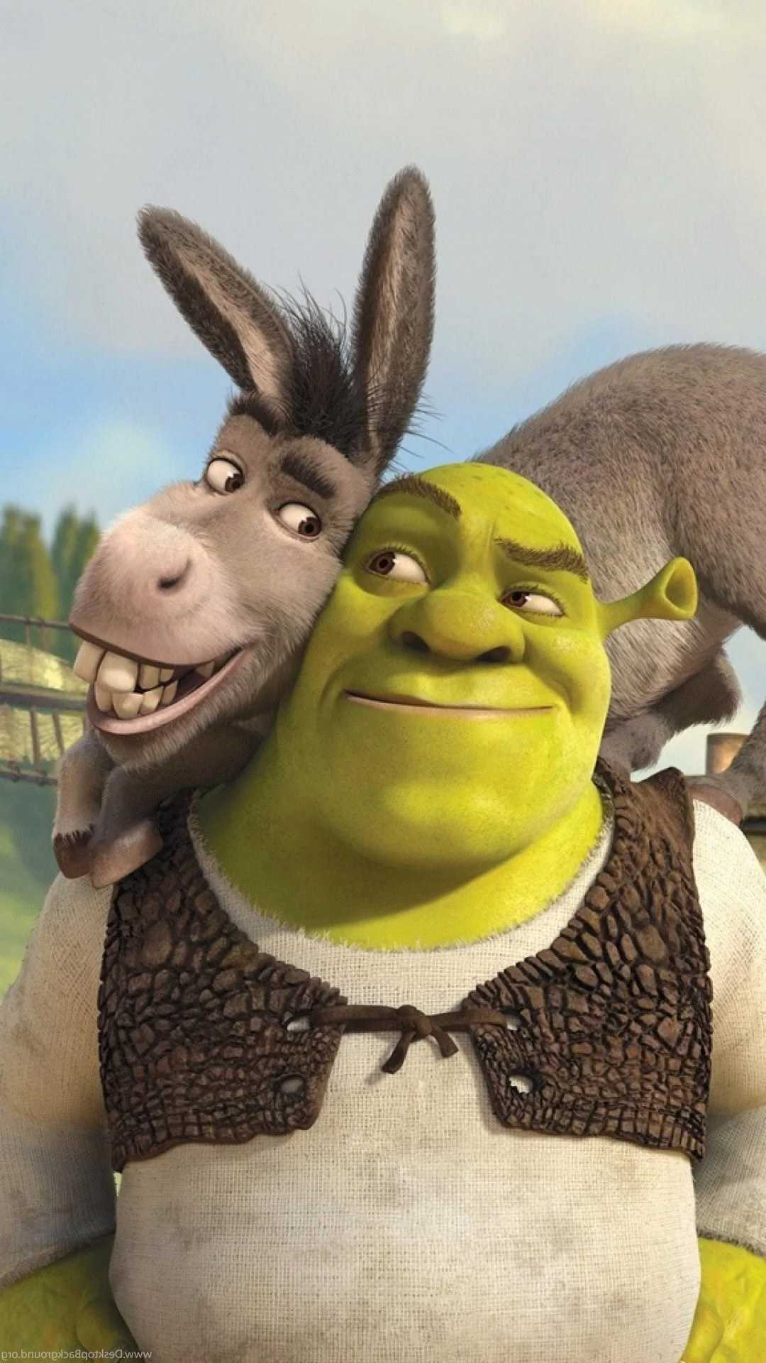 Shrek Funny Pictures Wallpapers