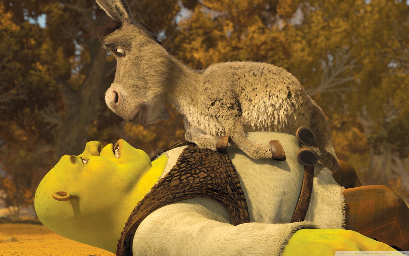 Shrek Funny Pictures Wallpapers