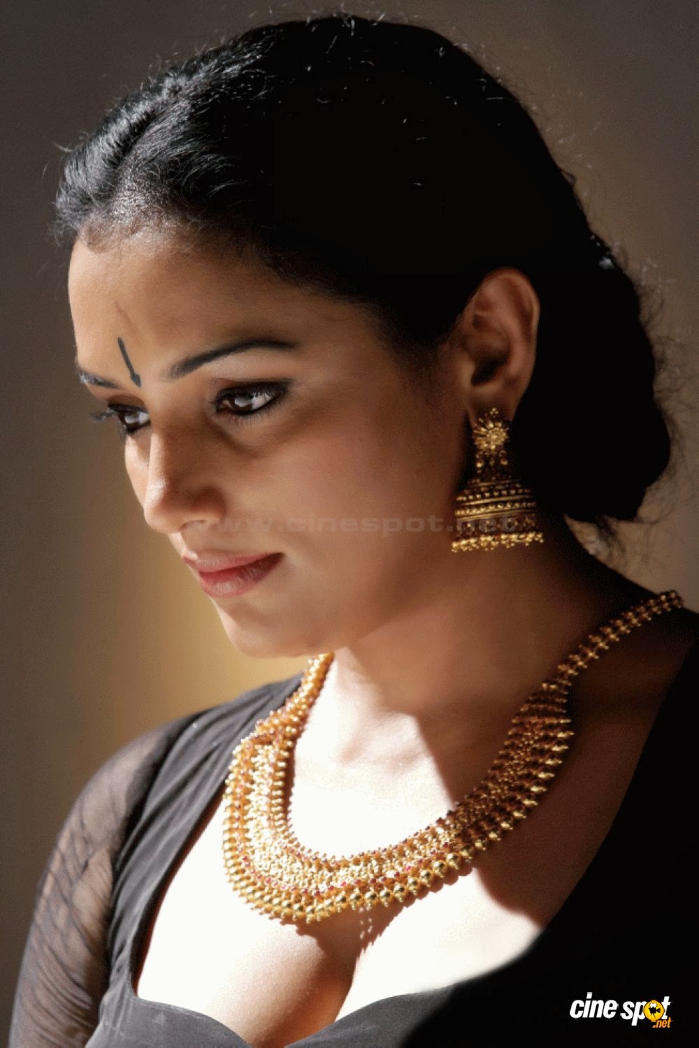 Shweta Menon Wallpapers