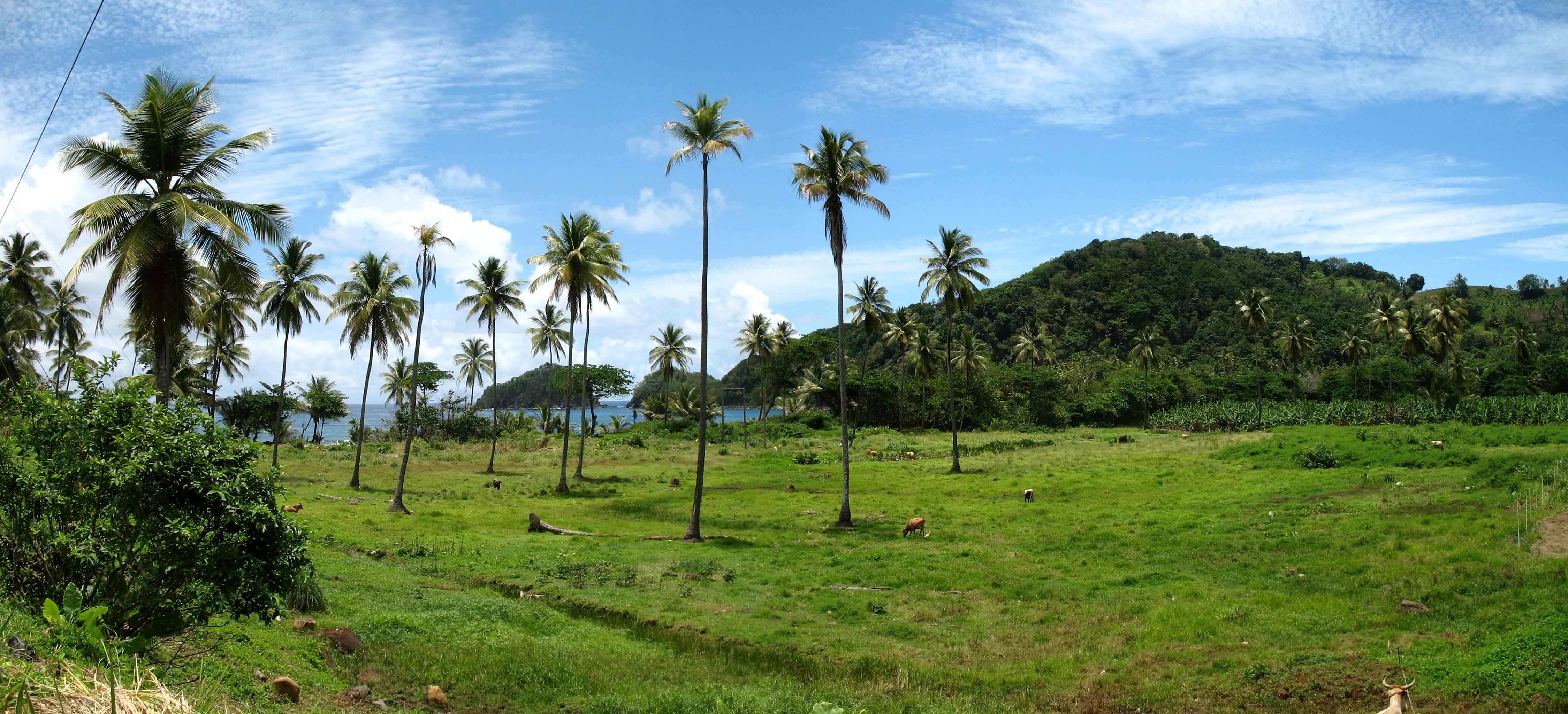 Sierra Leone Wallpapers