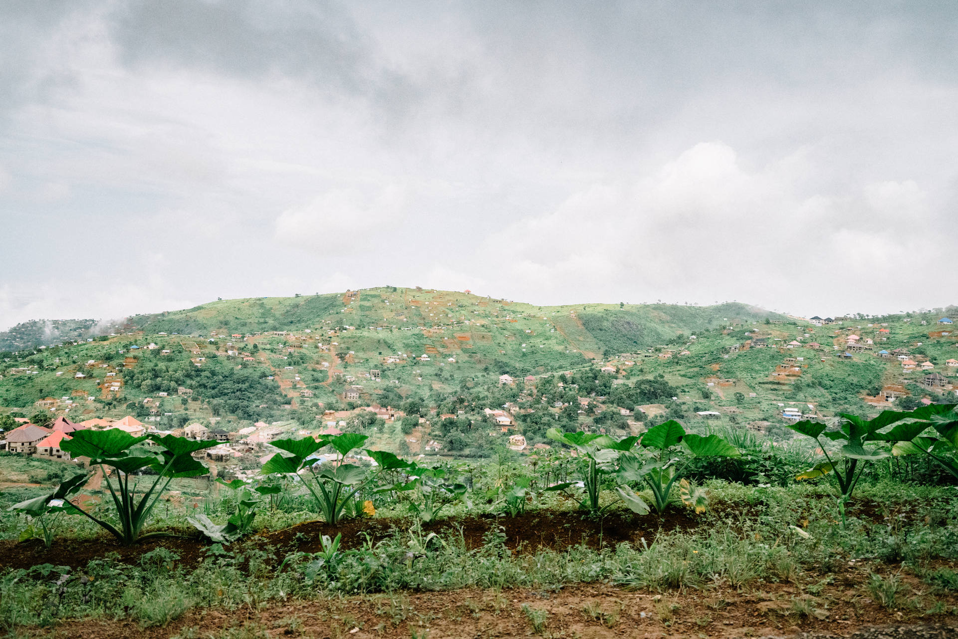 Sierra Leone Wallpapers