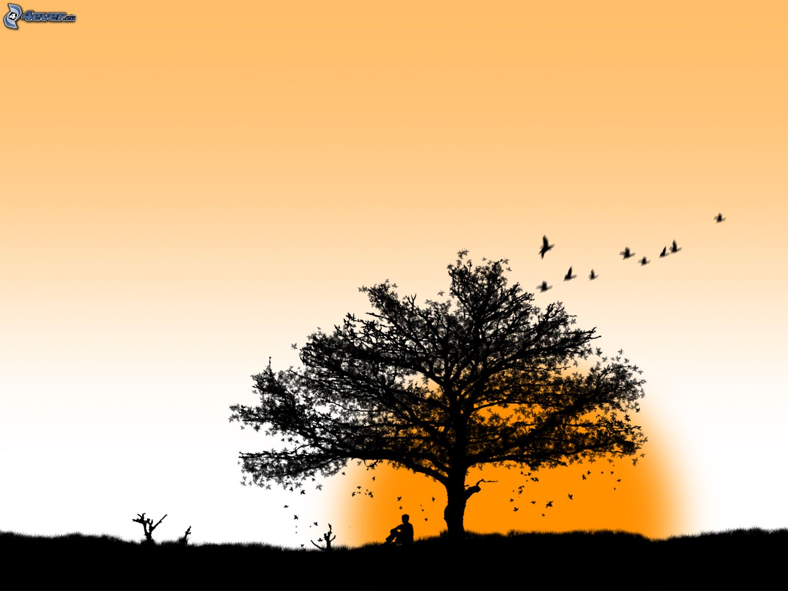 Silhouette Man And Birds Wallpapers