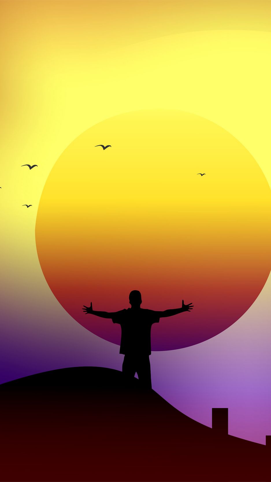 Silhouette Man And Birds Wallpapers