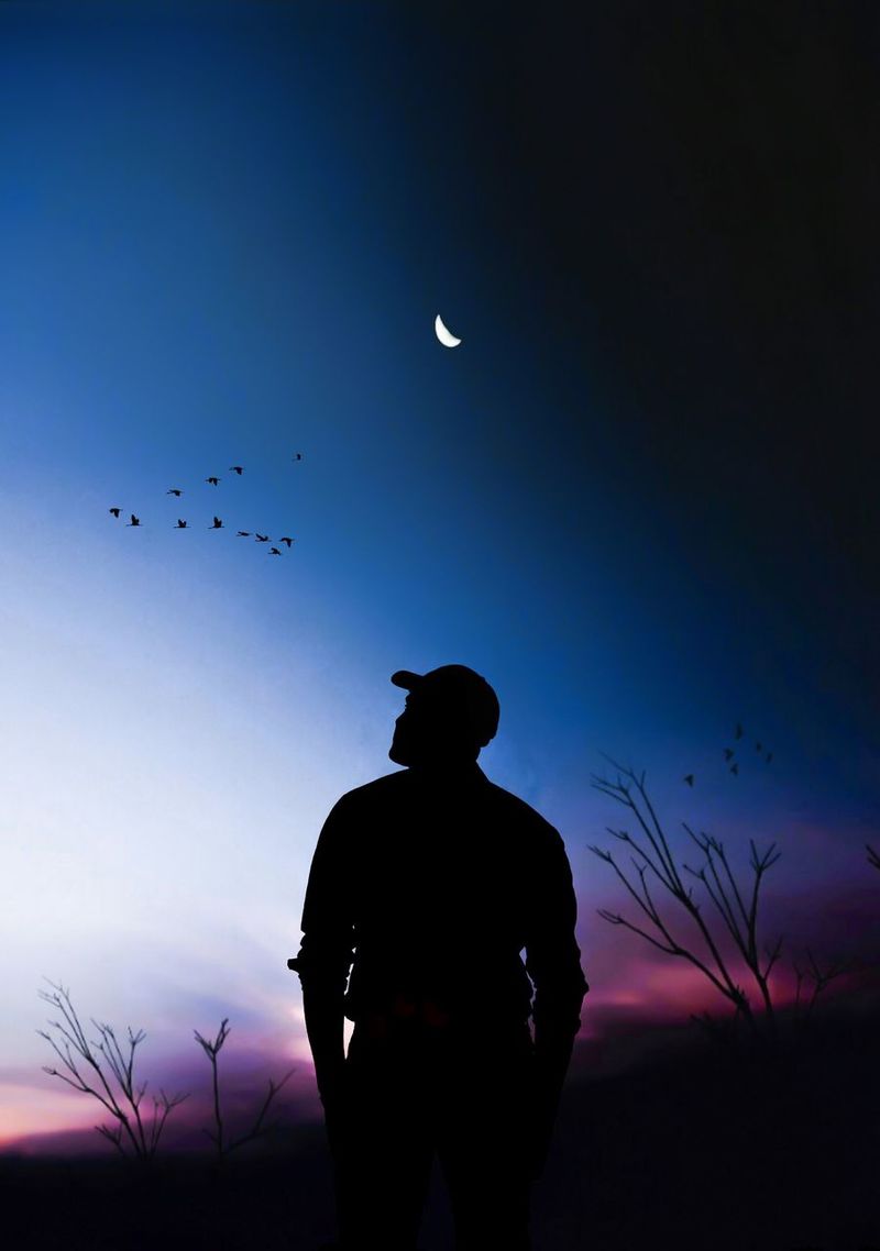 Silhouette Man And Birds Wallpapers